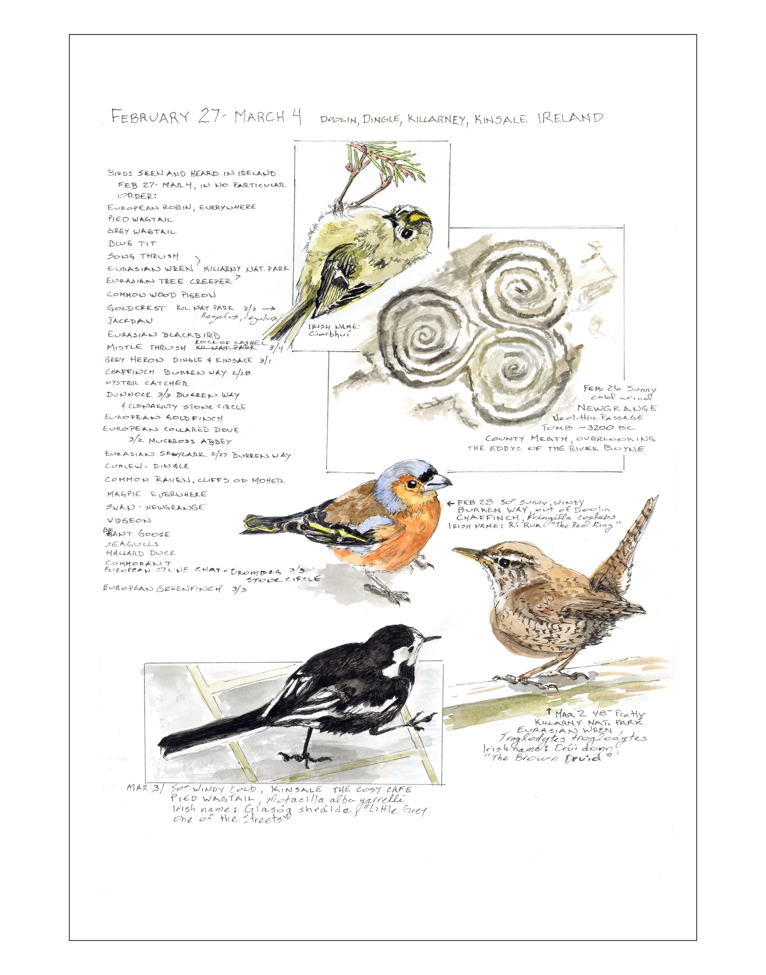 Bearing Witness, Vol 1:  February 27-March 4, 2025 (Doolin, Dingle, Killarney, Kinsale, Ireland)