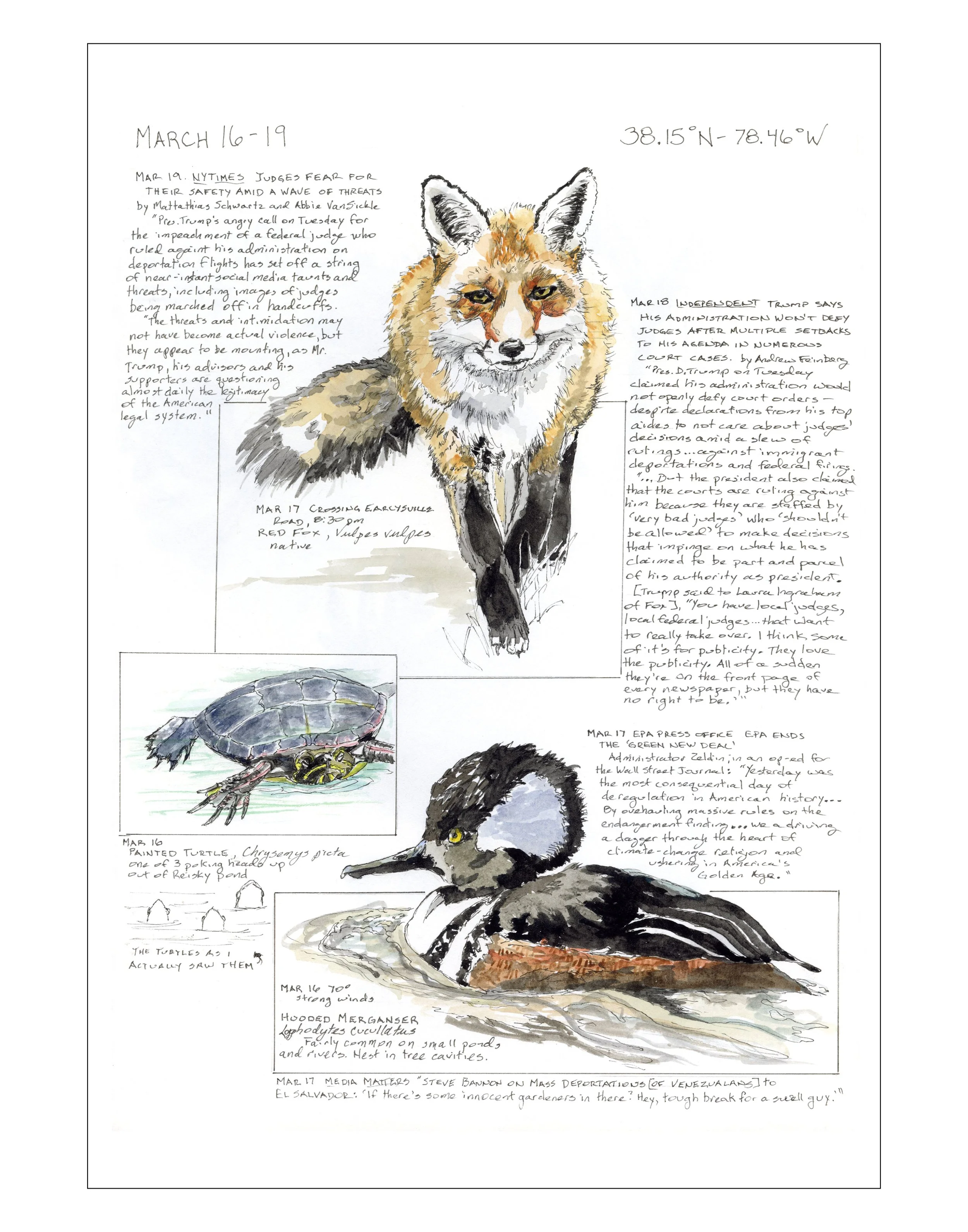 Bearing Witness, Vol 1: March 16-19, 2025