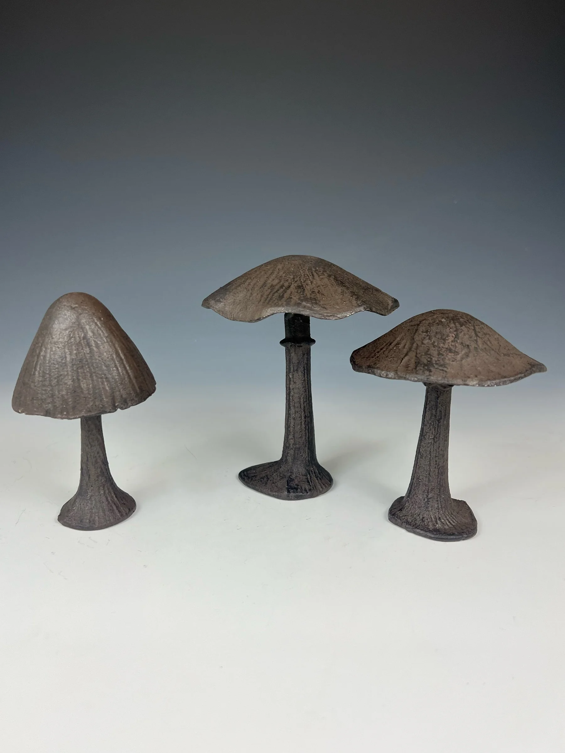 Iron Mushroom Trio.jpg