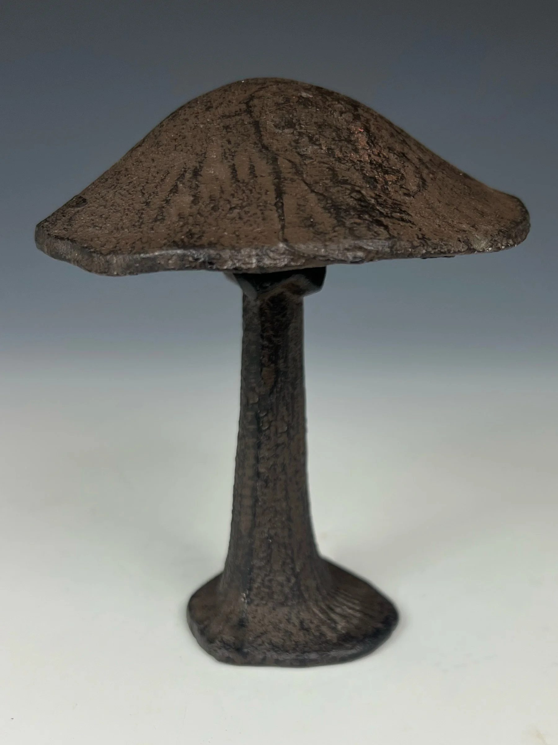 Cottage Core Cast Iron Mushroom #3