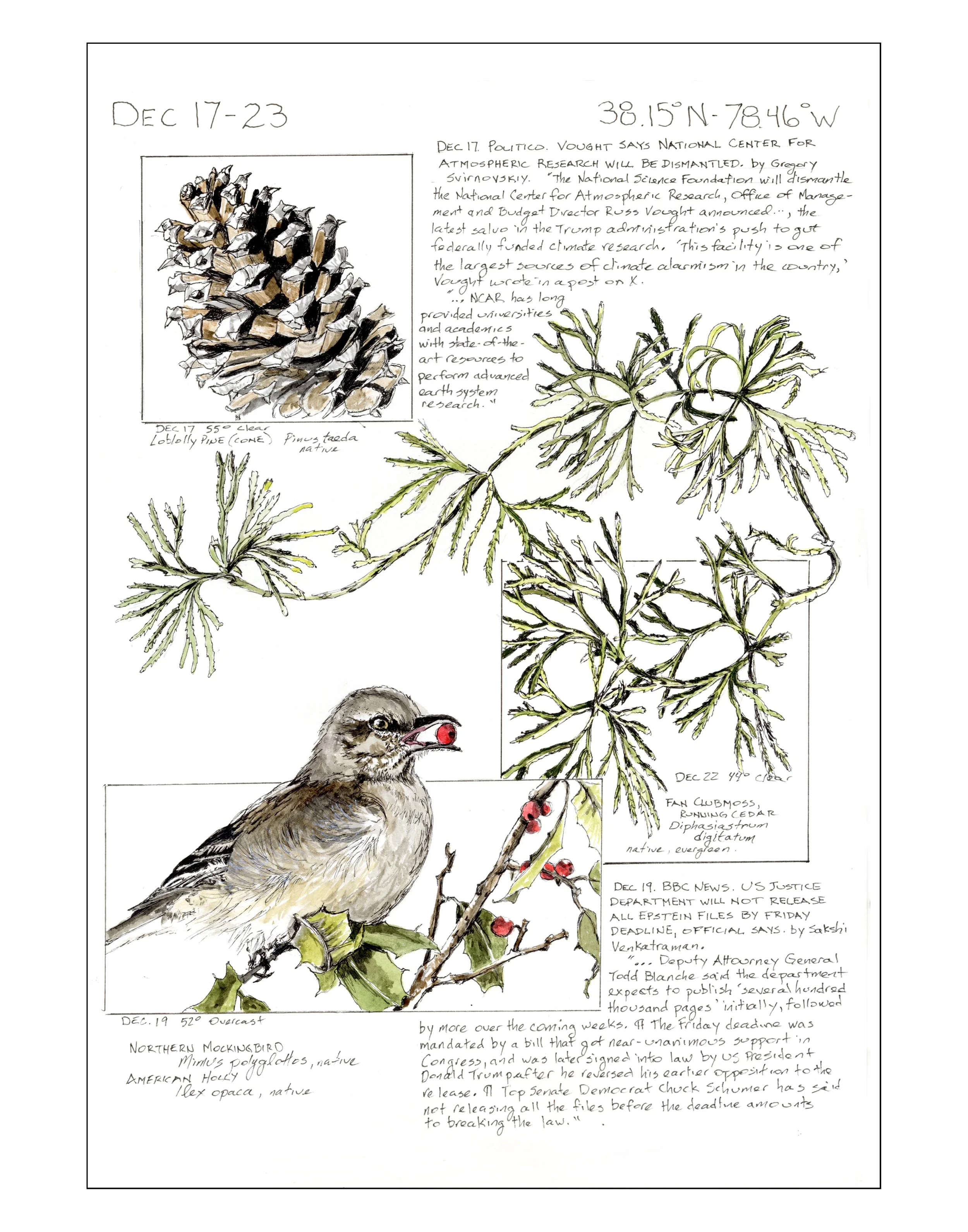 Bearing Witness, Vol 1:  December 17-23, 2025