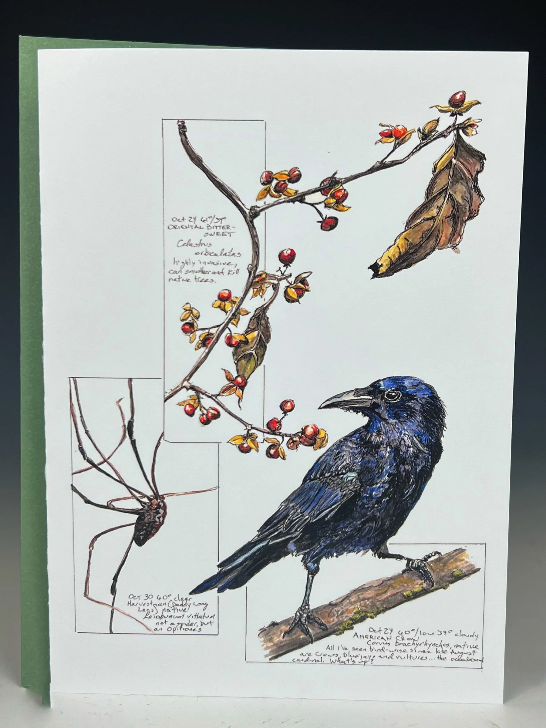 Crow, Bittersweet, and Harvestman Greeting Card