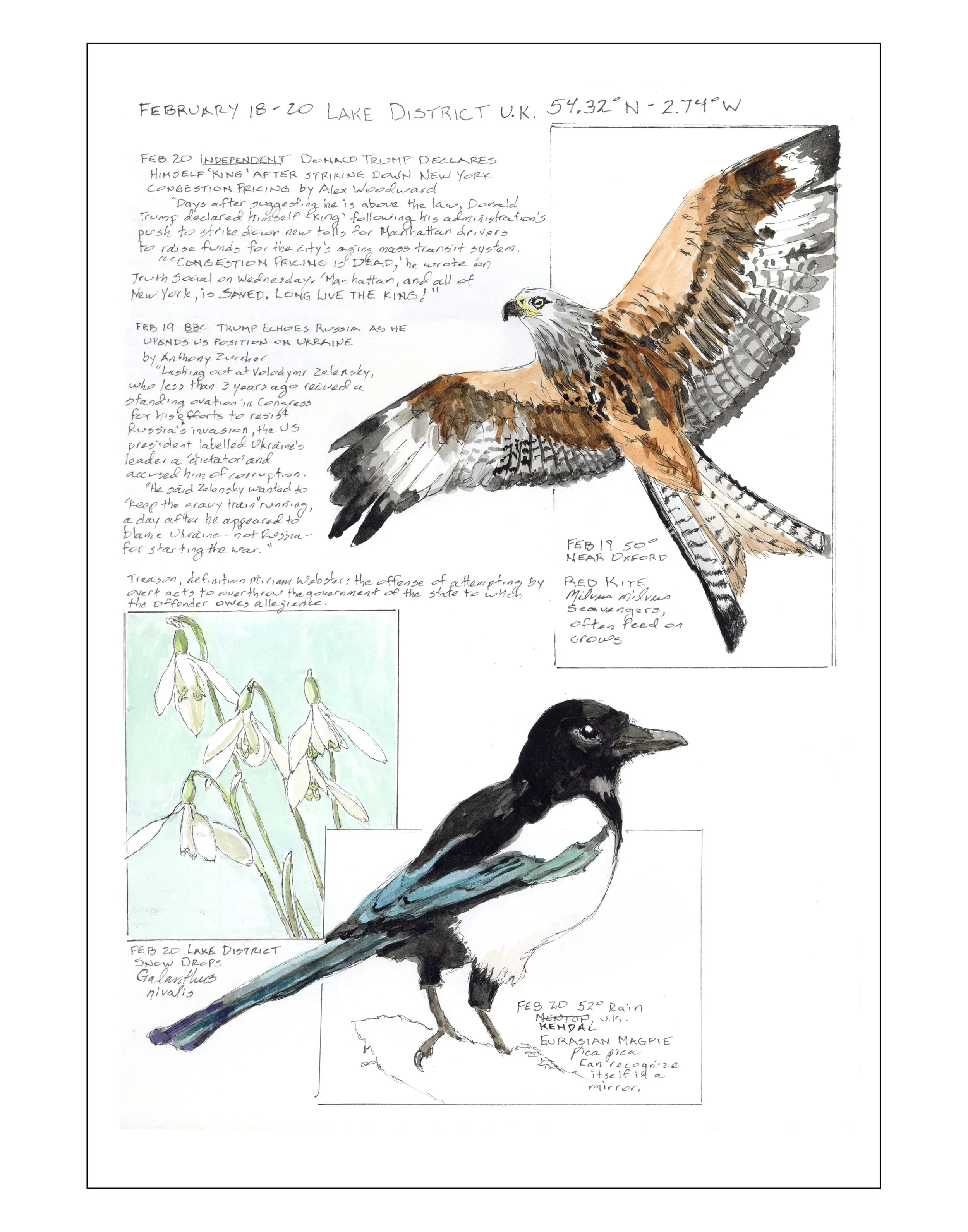 Bearing Witness, Vol 1:  February 18-20, 2025 (Lake District, UK)