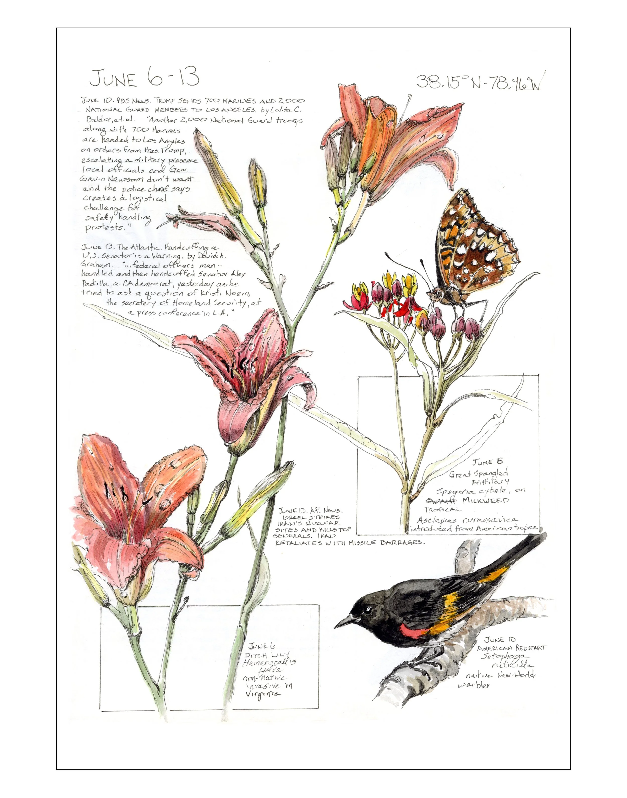 Bearing Witness, Vol 1: June 6-13, 2025