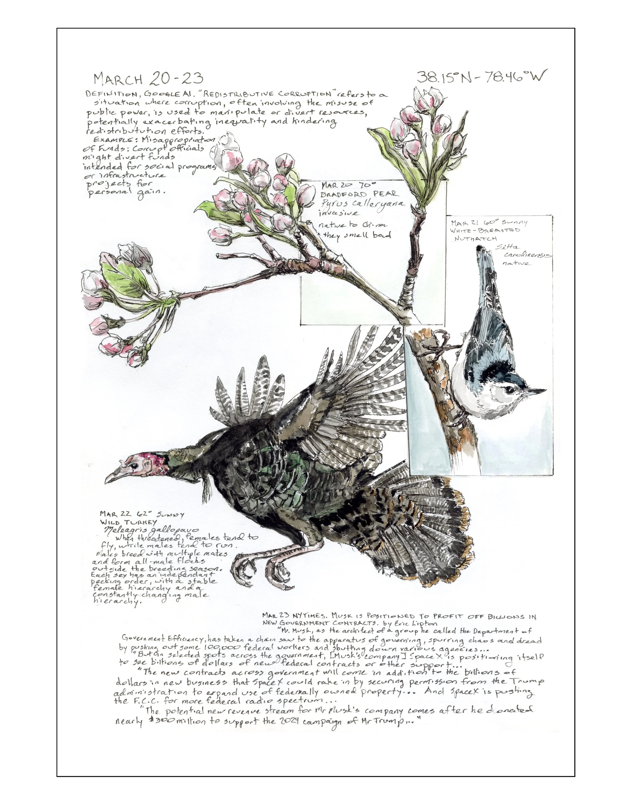 Bearing Witness, Vol 1: March 20-23, 2025