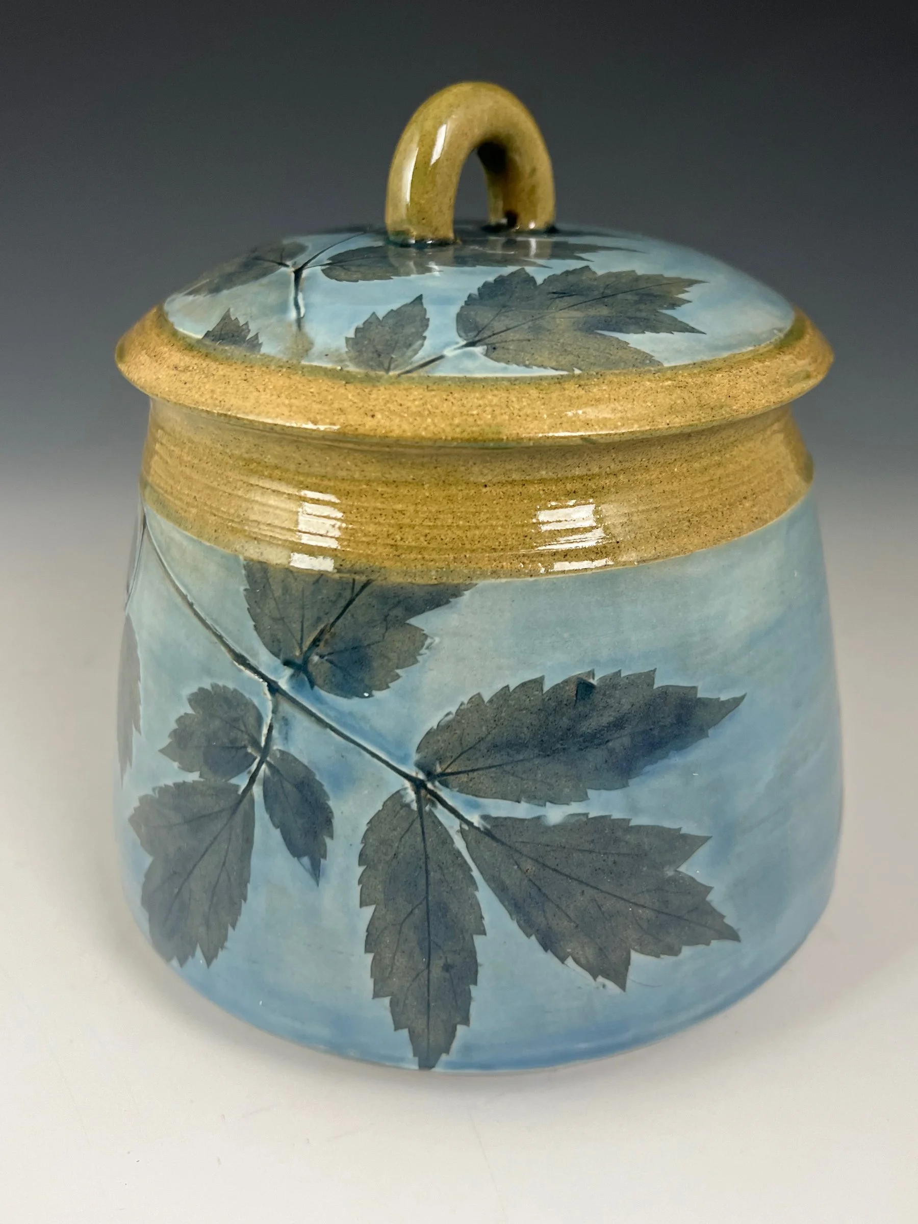 Treat Jar light dark blue 2.jpg