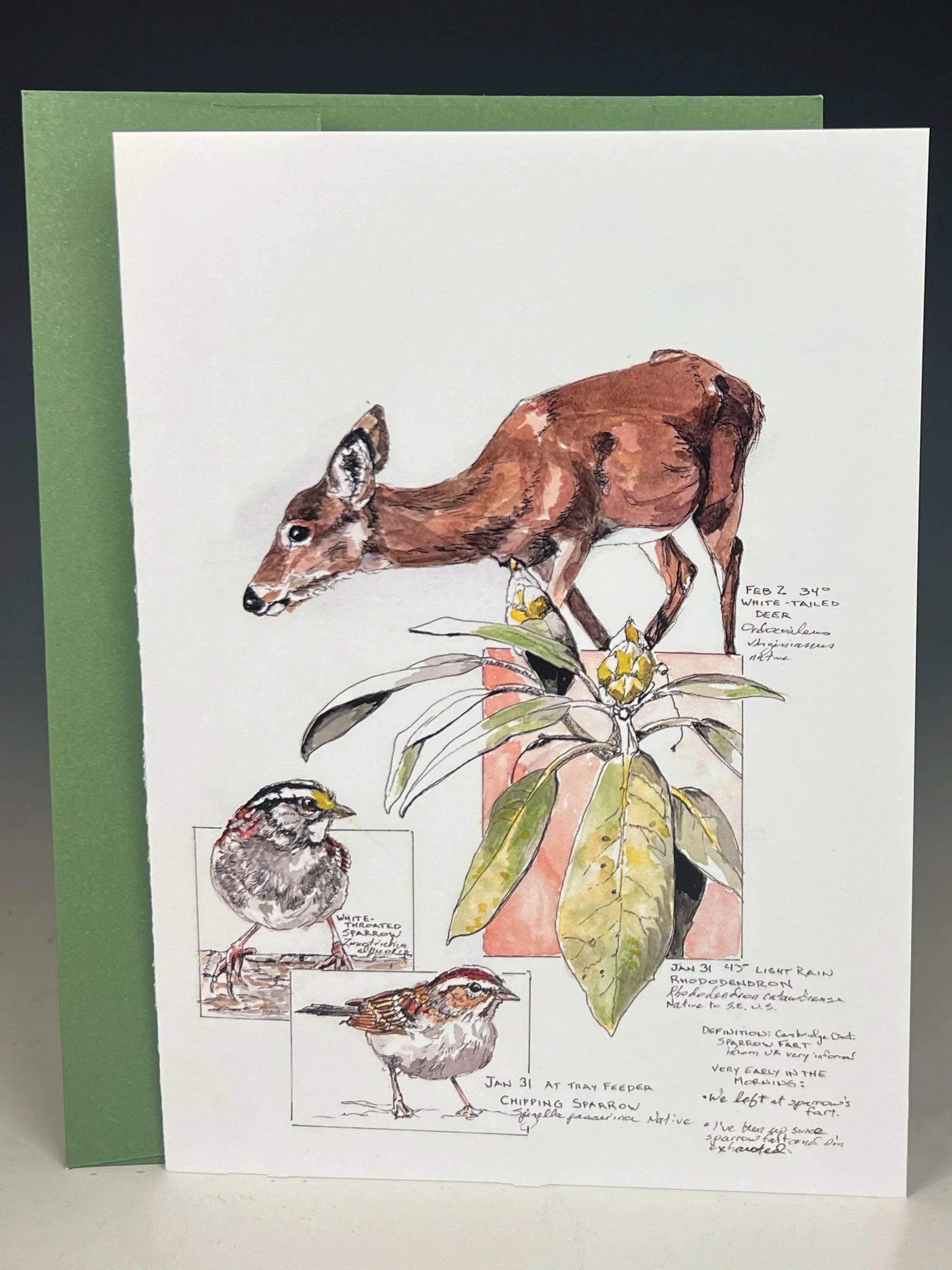 White-Tailed Deer, Rhododendron, Sparrows Greeting Card