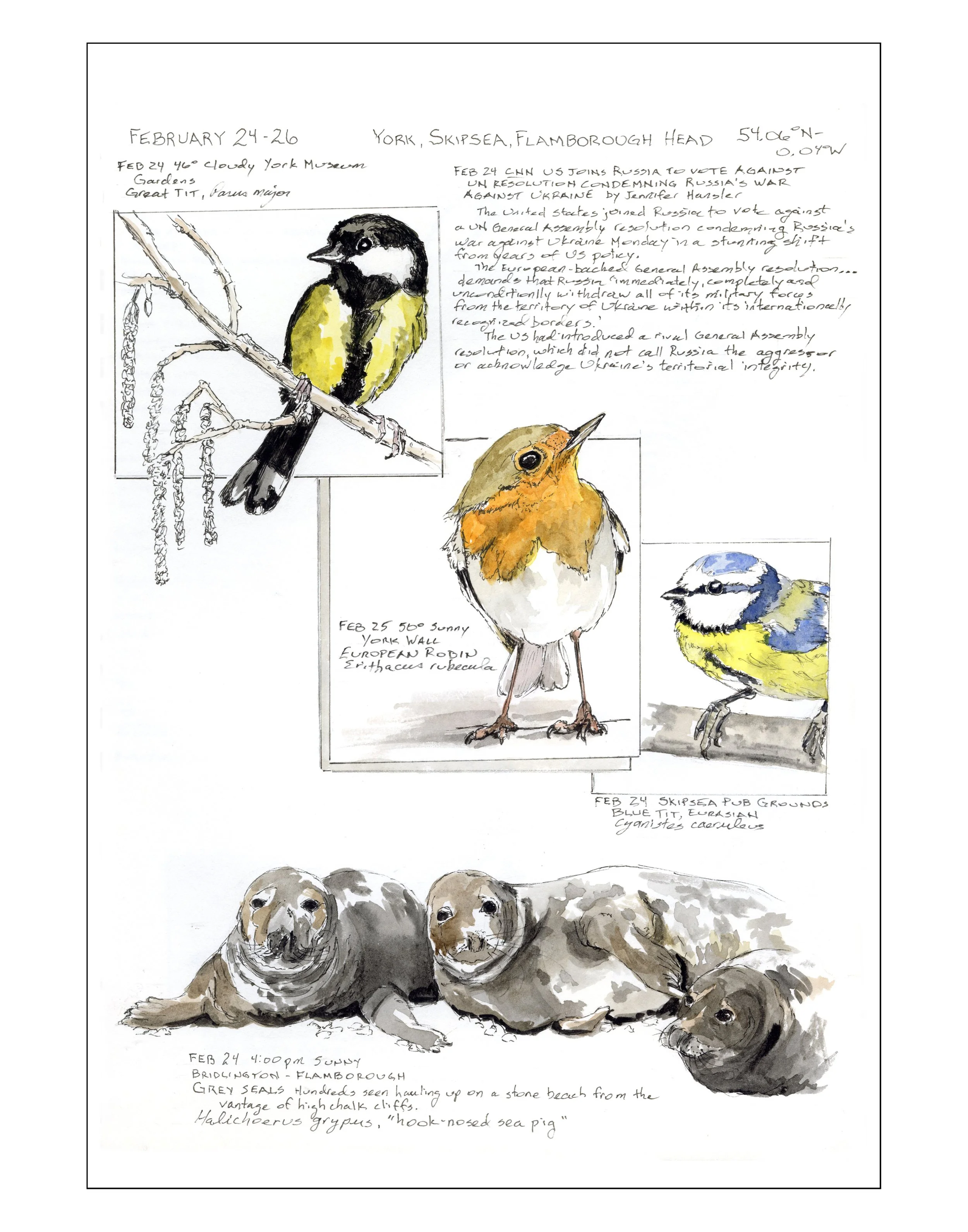 Bearing Witness, Vol 1:  February 24-26, 2025 (York, Skipsea, Flamborough Head, UK)