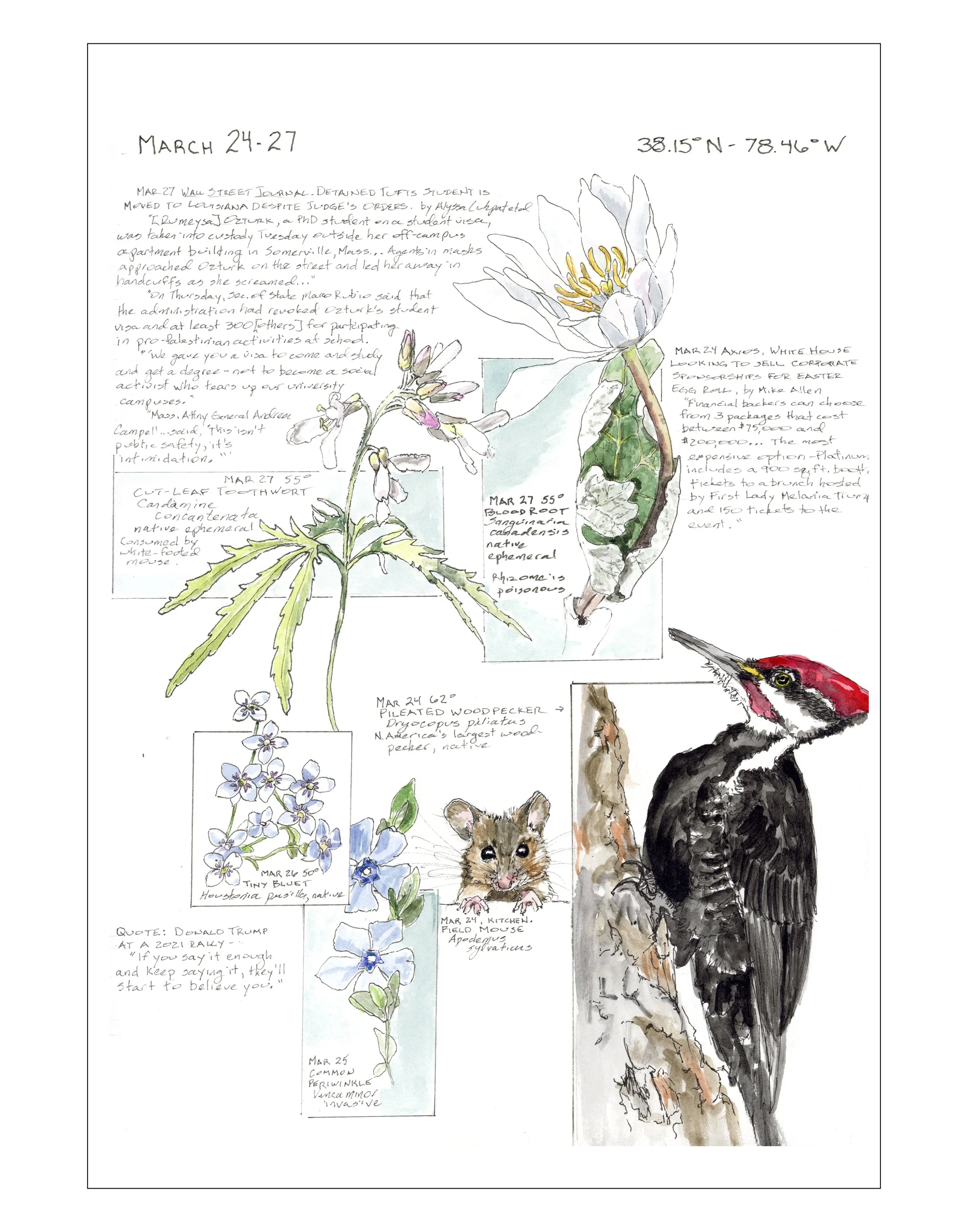 Bearing Witness, Vol 1: March 24-27, 2025