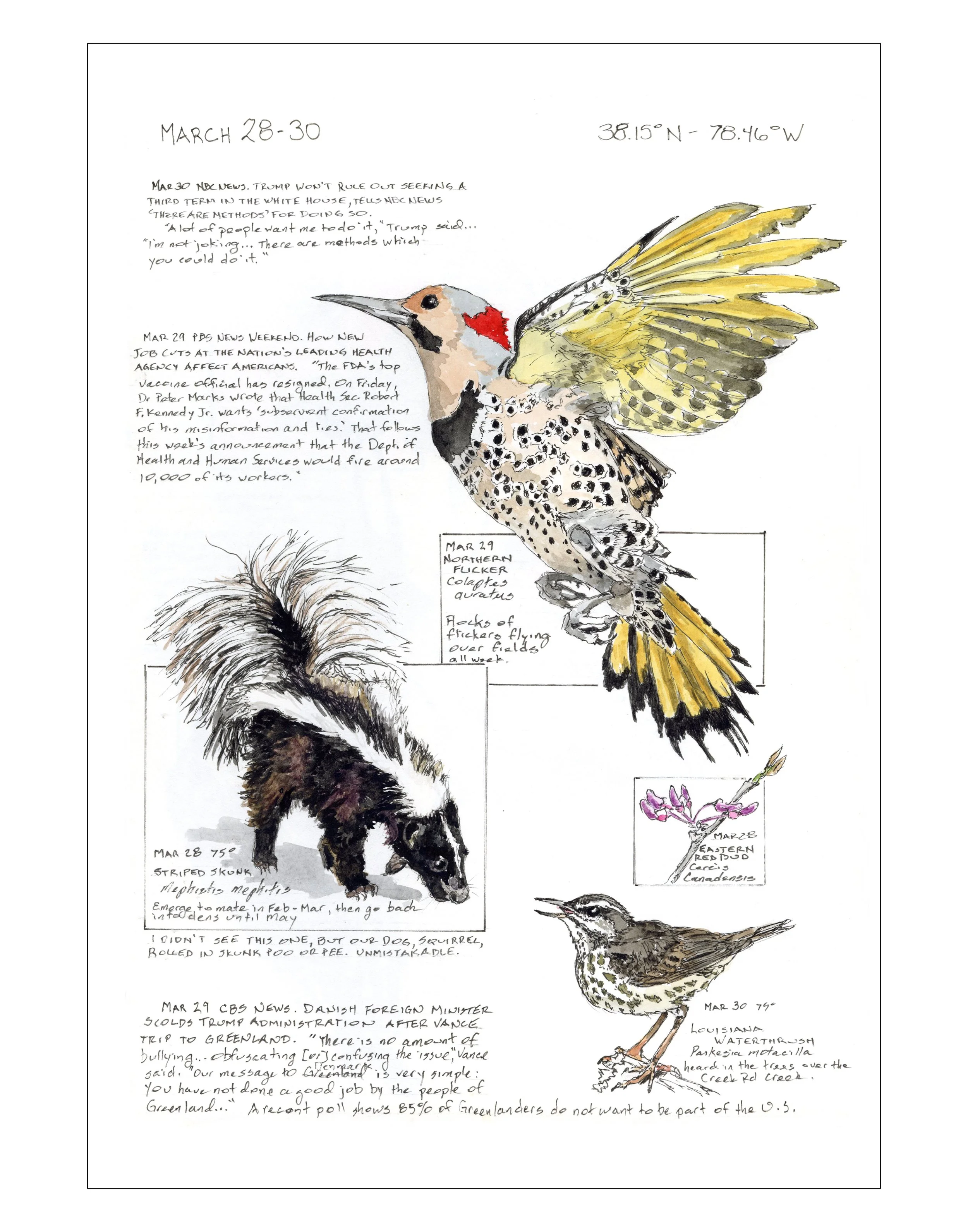 Bearing Witness, Vol 1: March 28-30, 2025