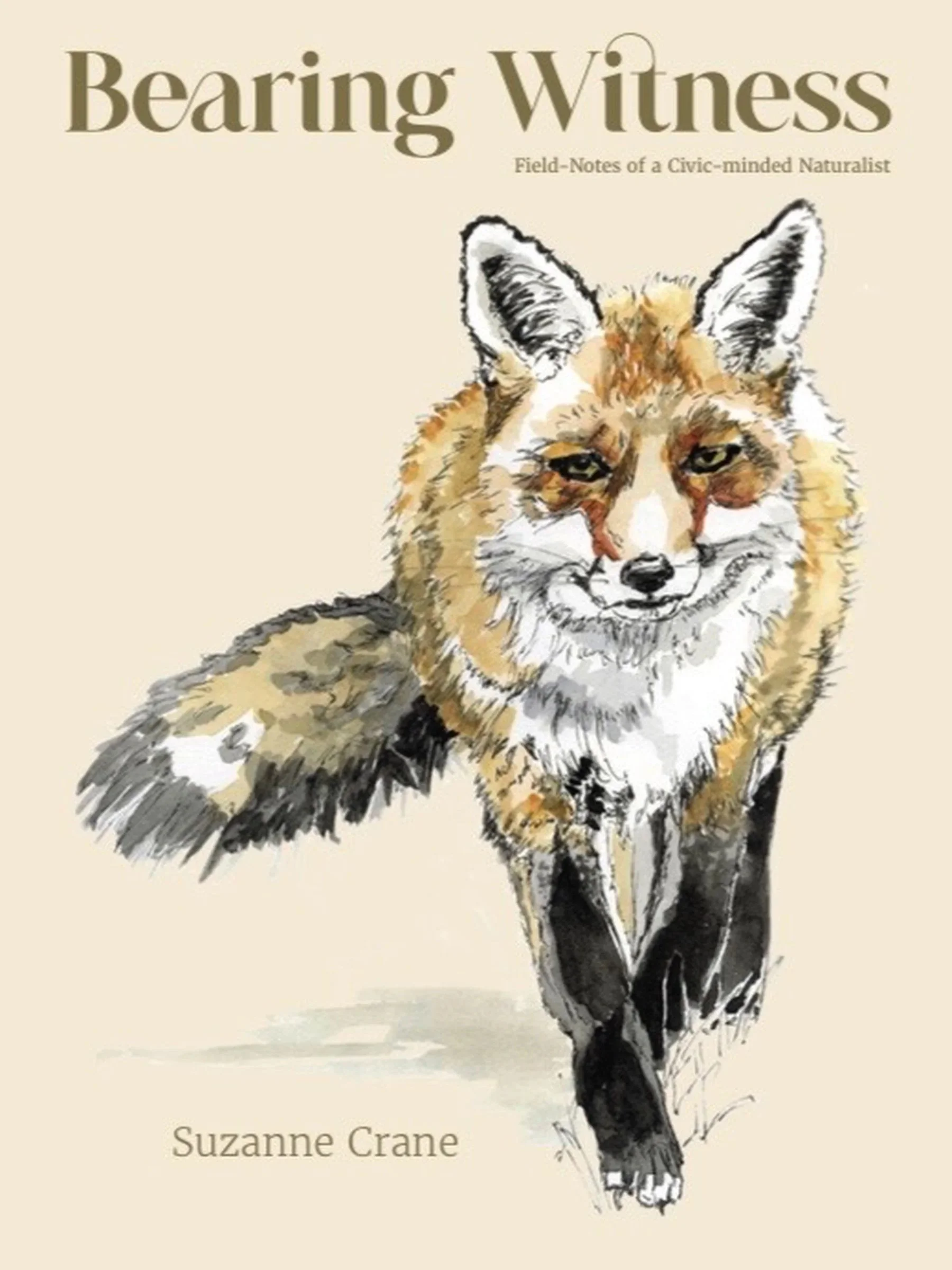 Pre-Order Your Copy of Bearing Witness, the book of my watercolor field notes and news of our fragile democracy!