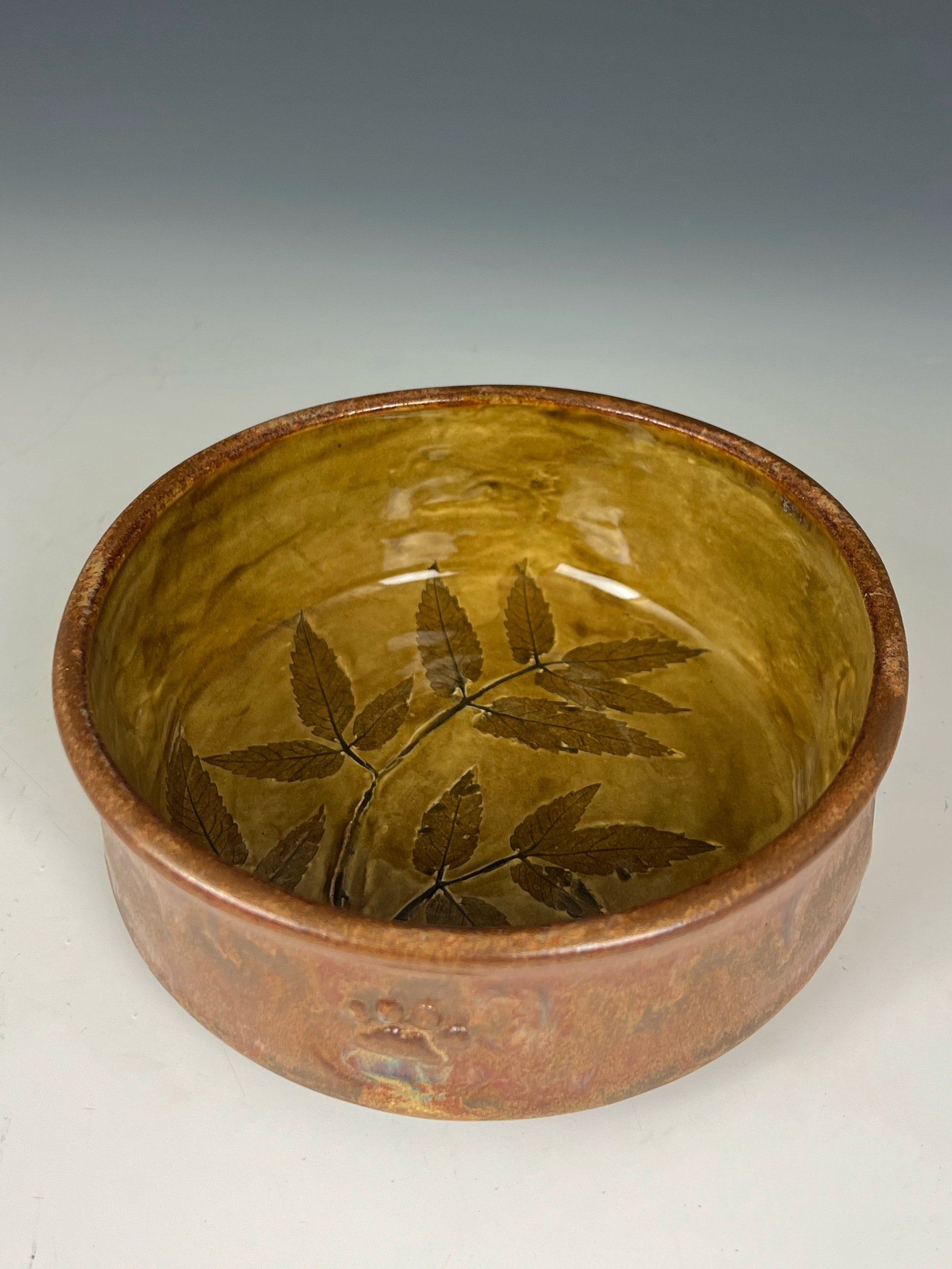 pet bowl 4 main.jpg