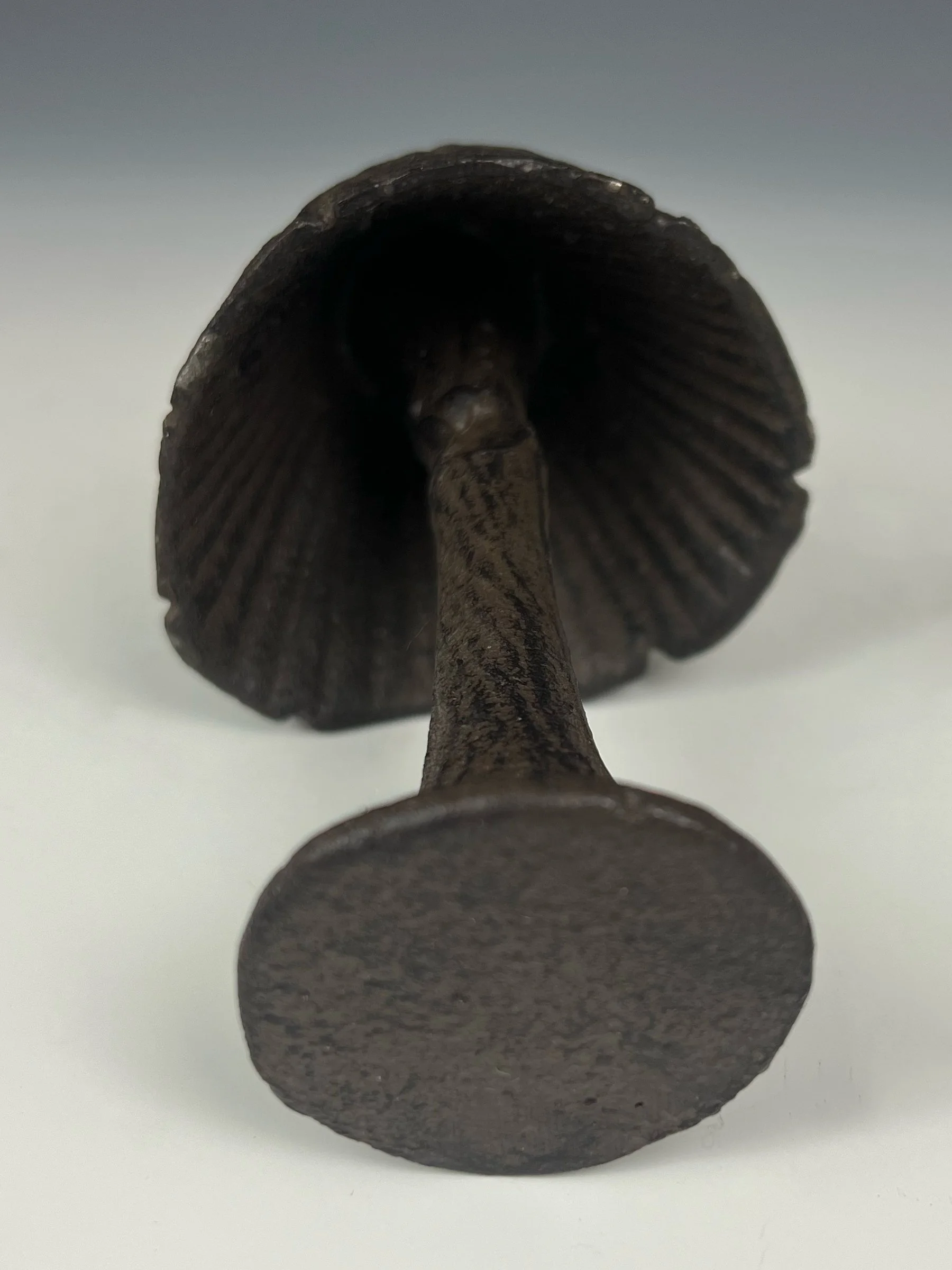 Iron Mush 1 Bottom.jpg