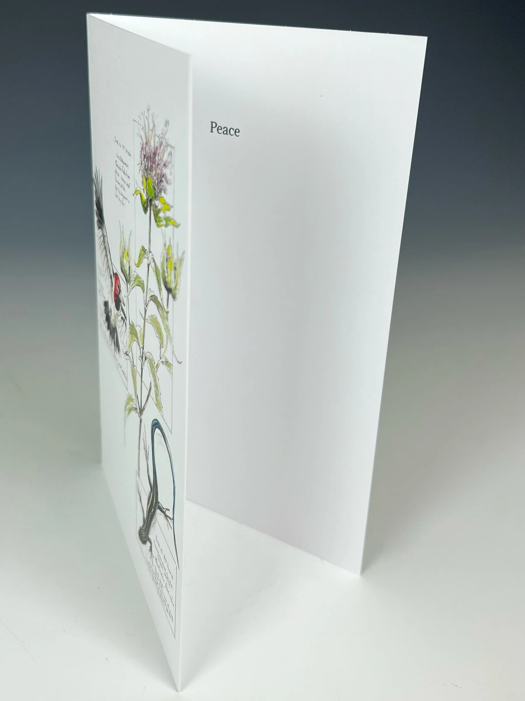 Redhead card inside.jpg