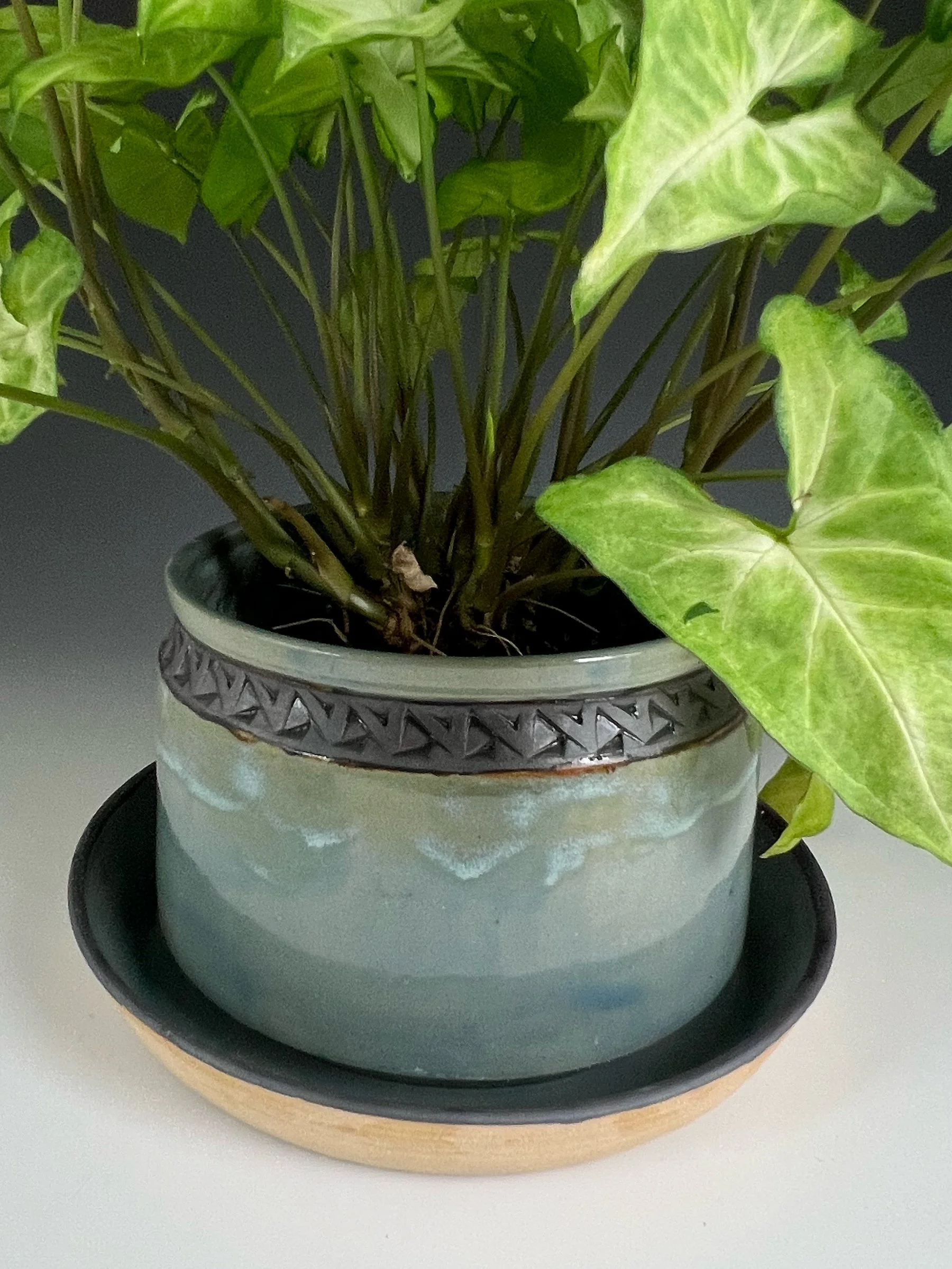 Ice Blue Planter with Tray.jpg