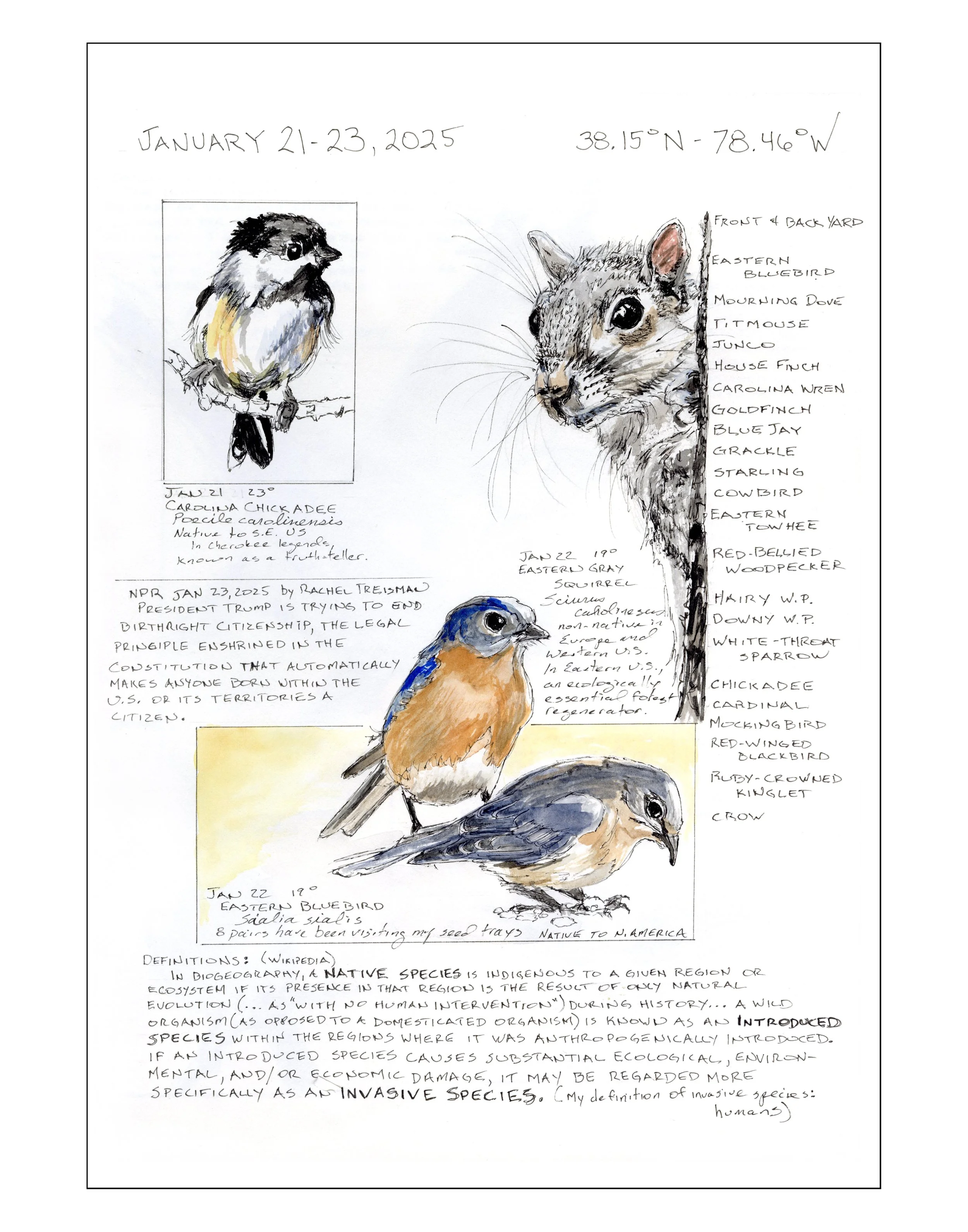 Bearing Witness, Vol 1: January 21-23, 2025