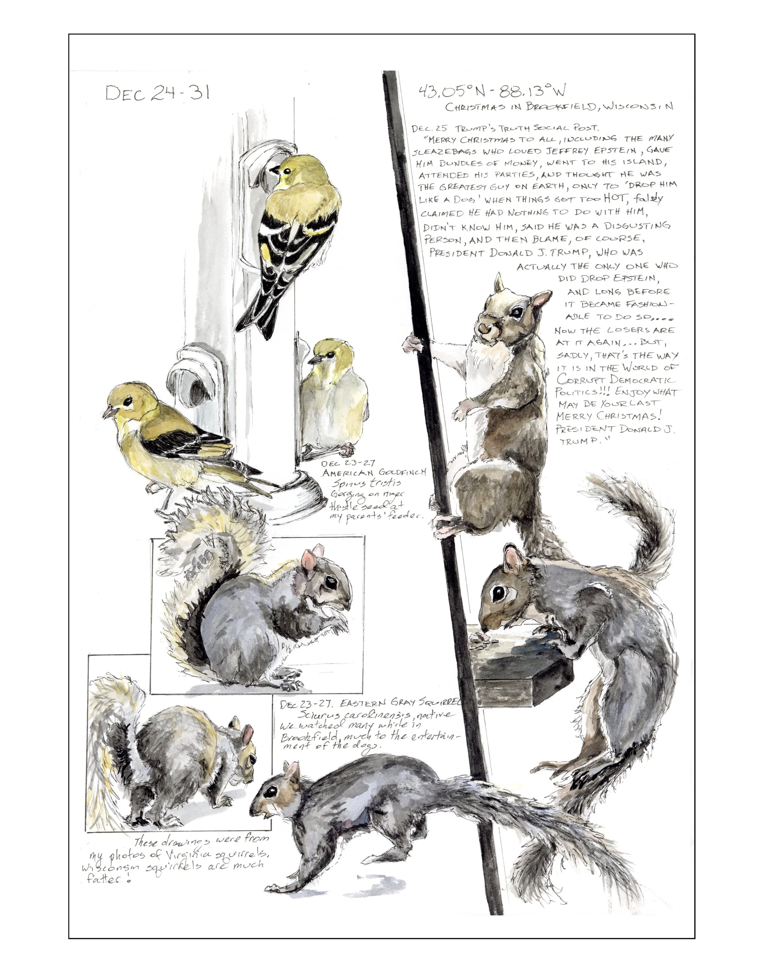 Bearing Witness, Vol 1:  December 24-31, 2025 (Brookfield, Wisconsin)