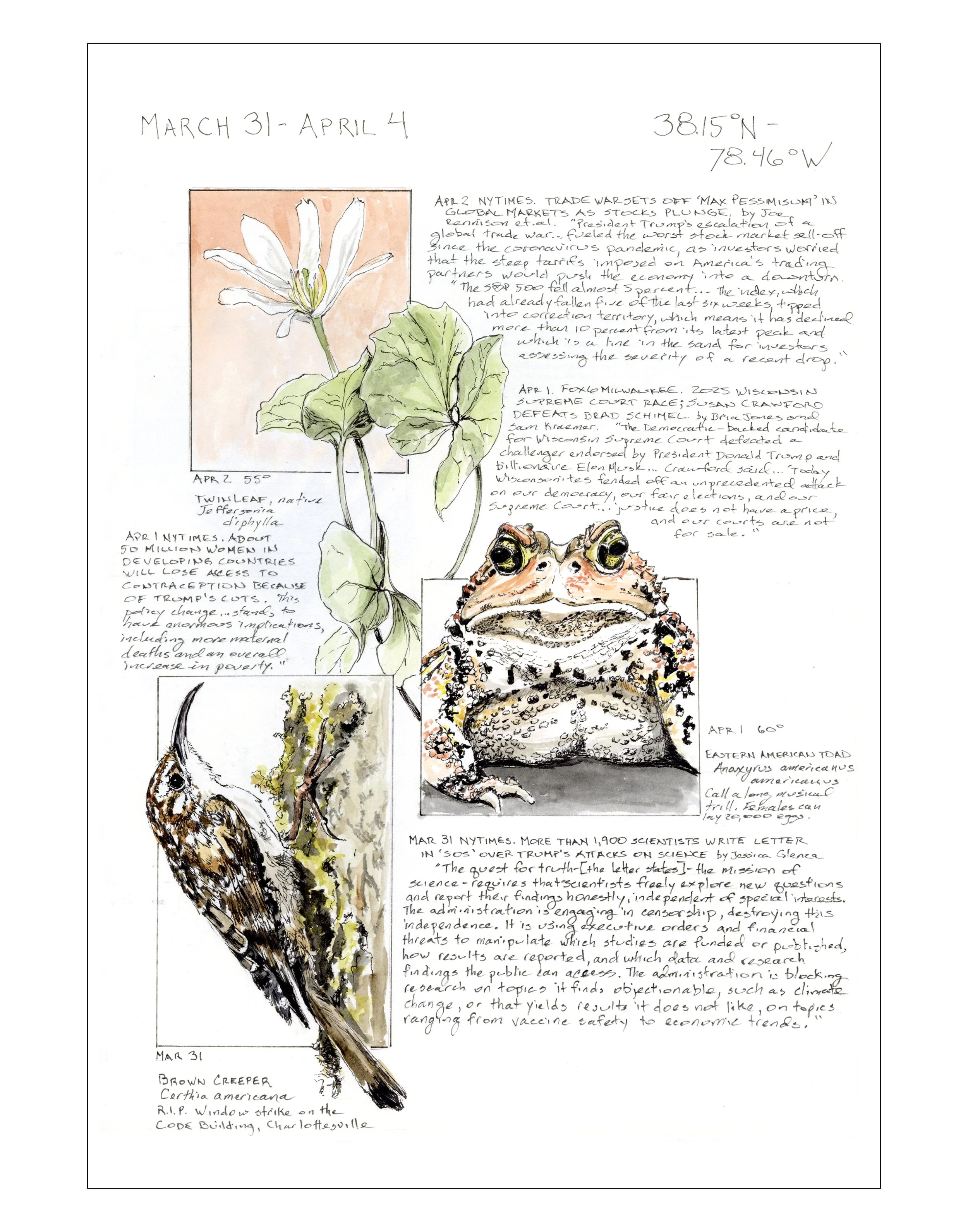 Bearing Witness, Vol 1: March 31-April 4, 2025