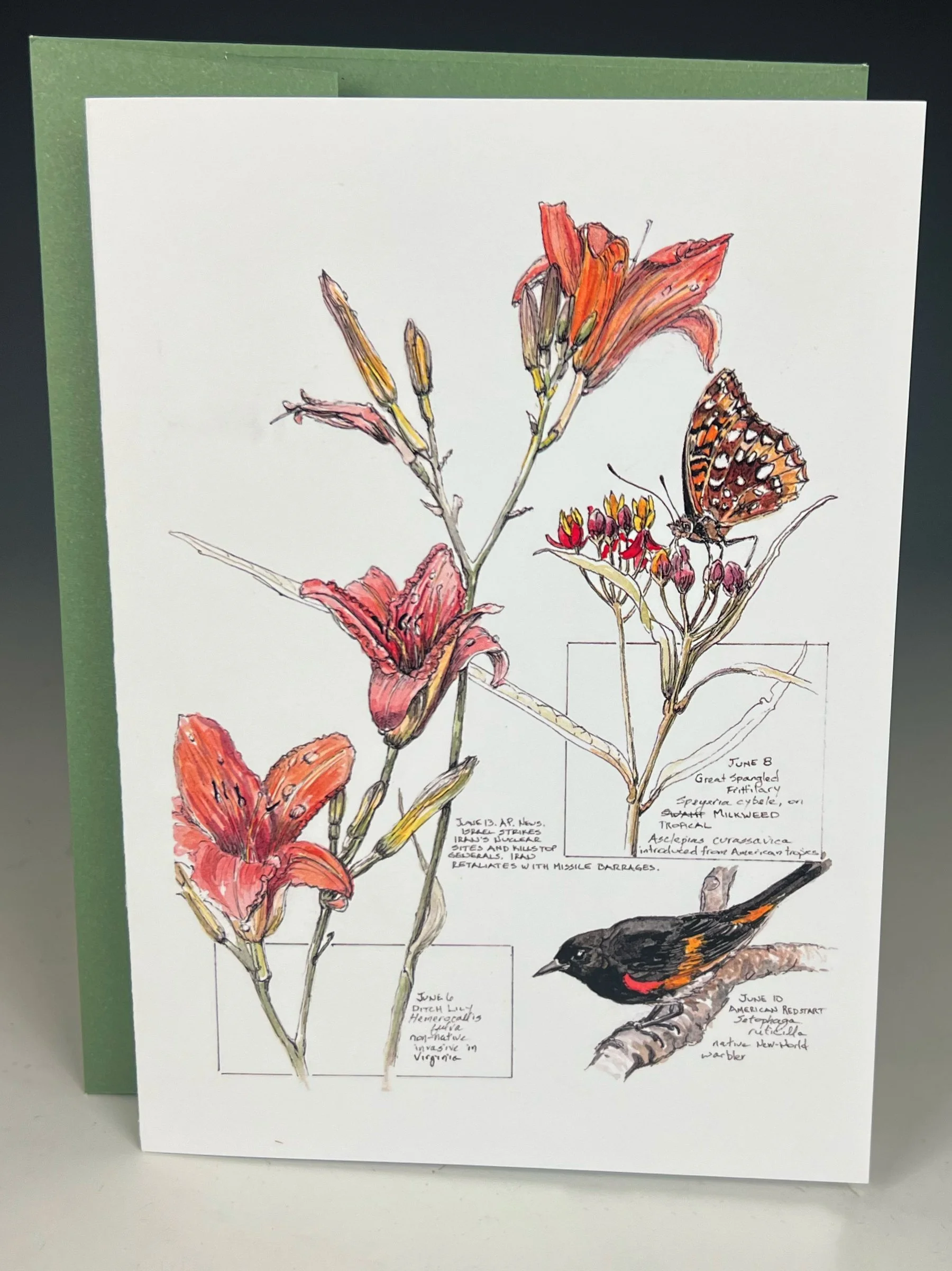 American Redstart, Ditch Lillies, Great Spangled Fritillary, Tropical Milkweed Greeting Card