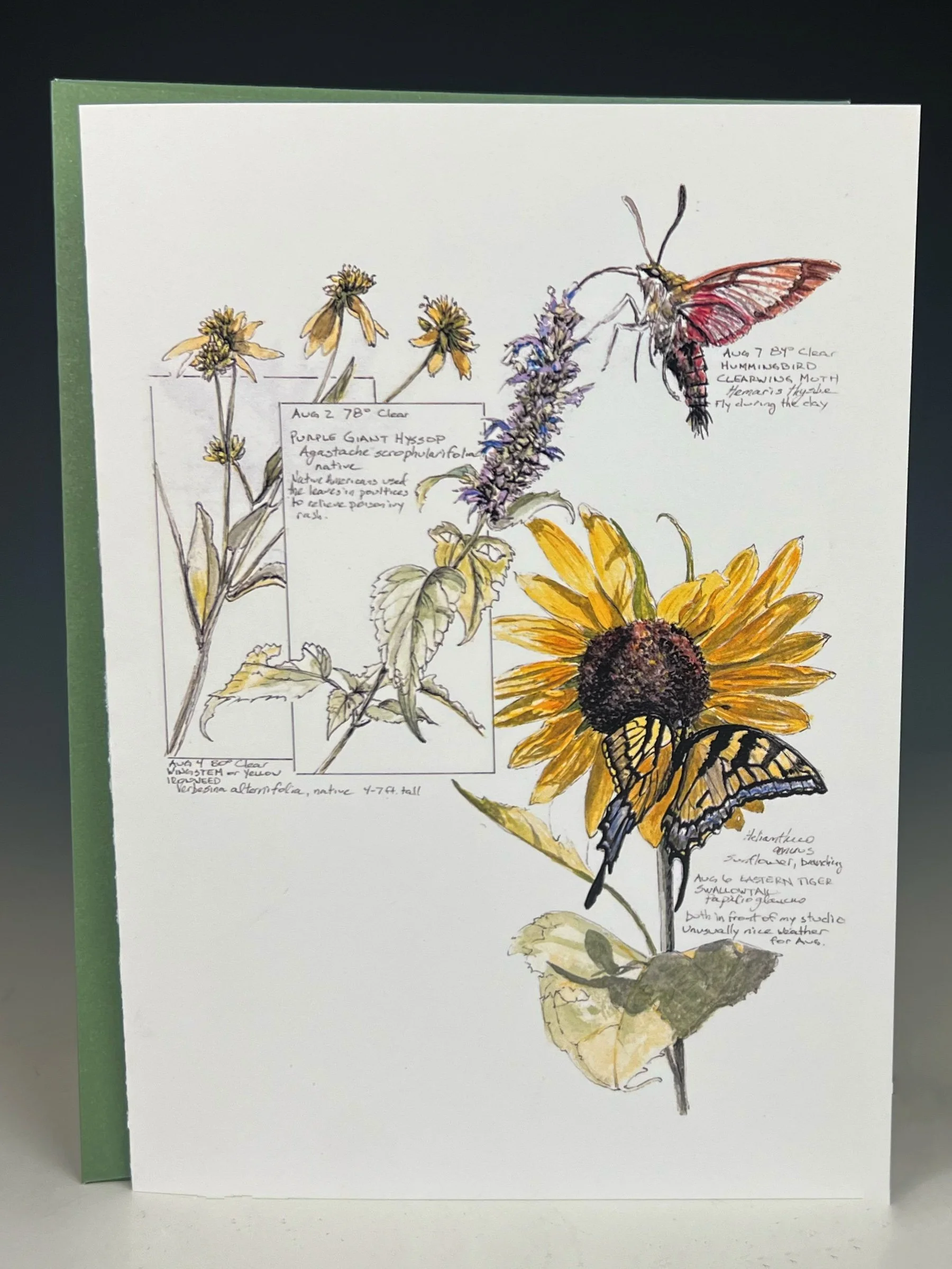 Sunflower, Eastern Tiger Swallowtail, Hummingbird Clearwing Moth, Purple Giant Hyssop, Clear Wingstem Greeting Card