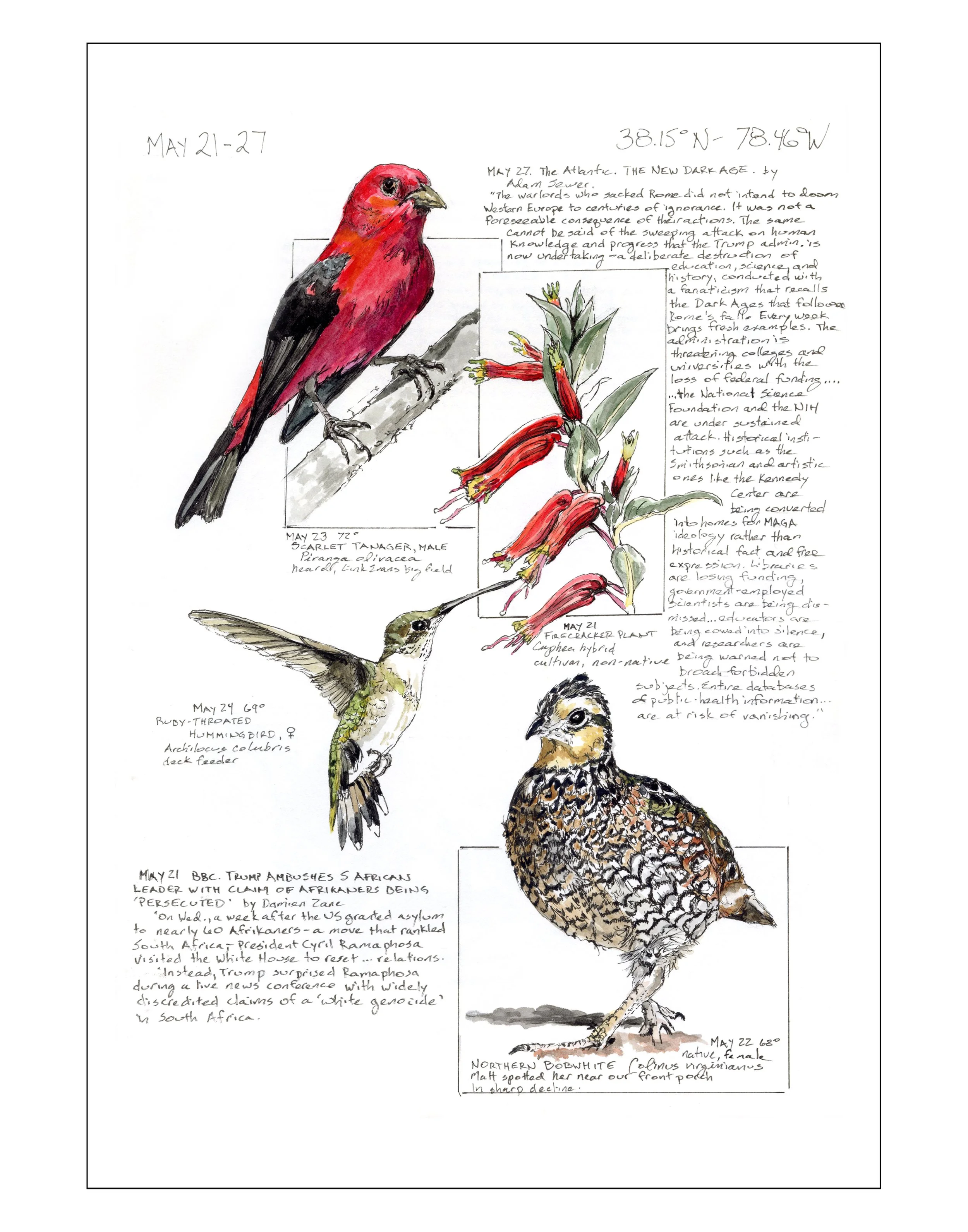 Bearing Witness, Vol 1: May 21-27, 2025