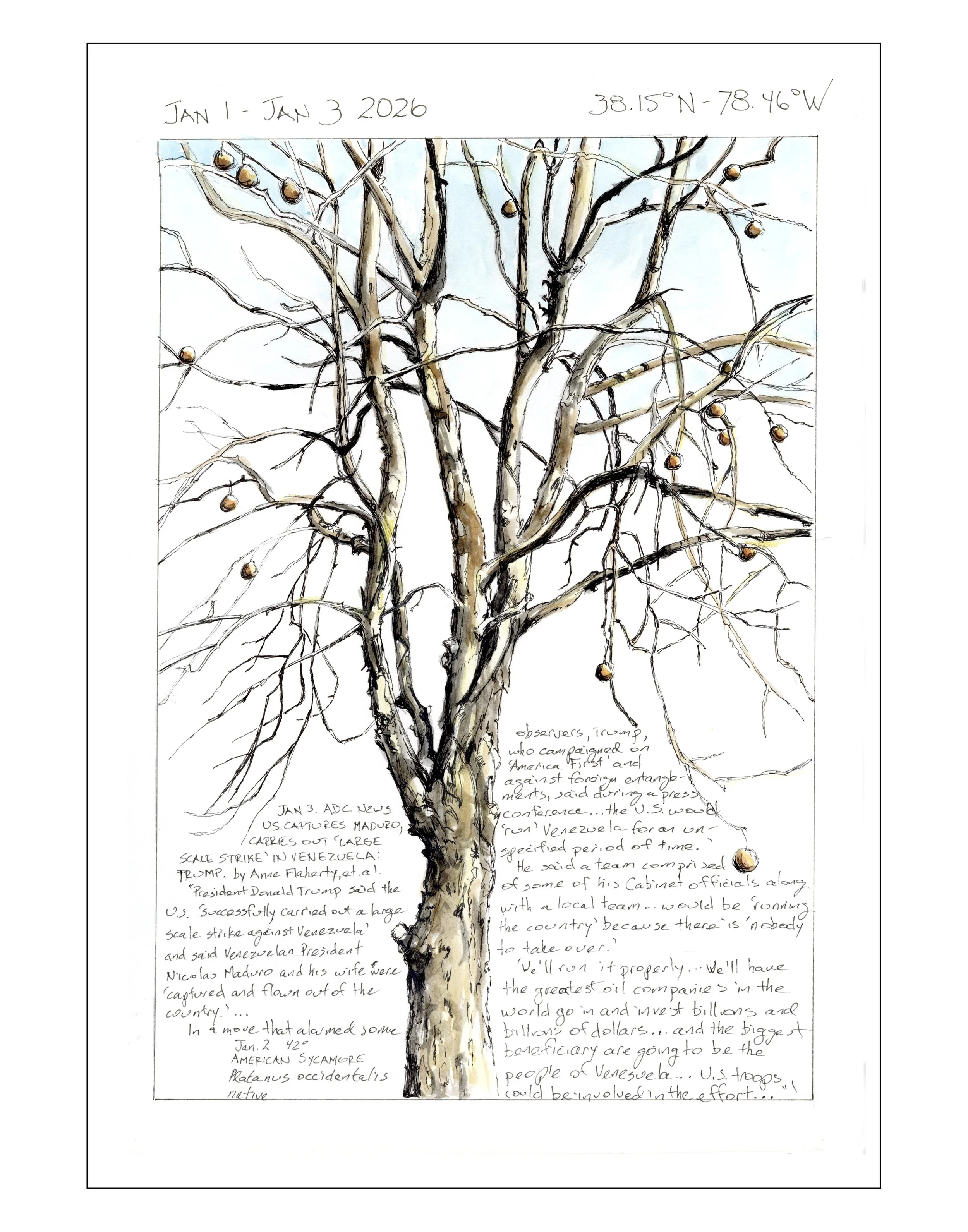 Bearing Witness, Vol 1:  January 1-3, 2026