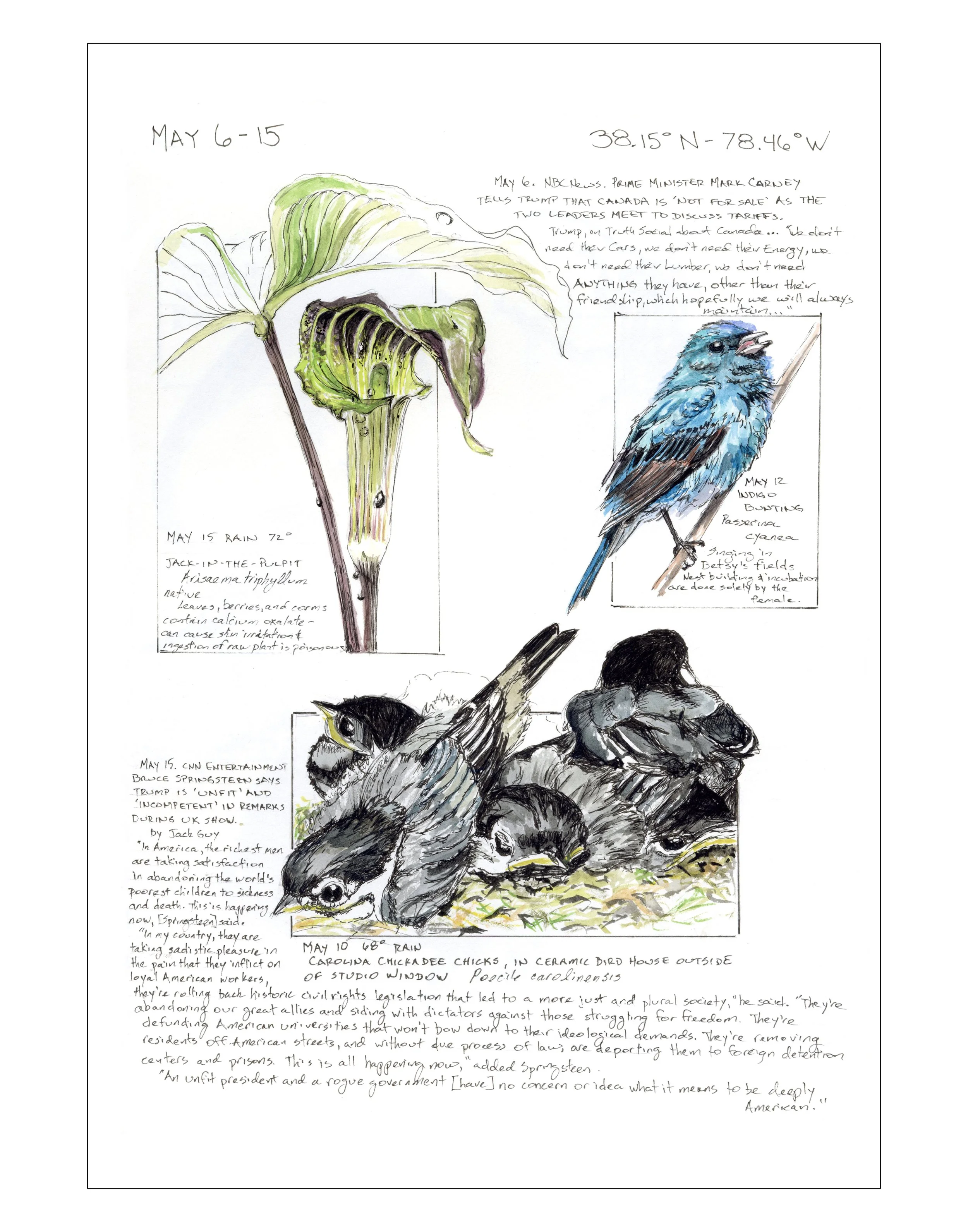 Bearing Witness, Vol 1: May 6-15, 2025