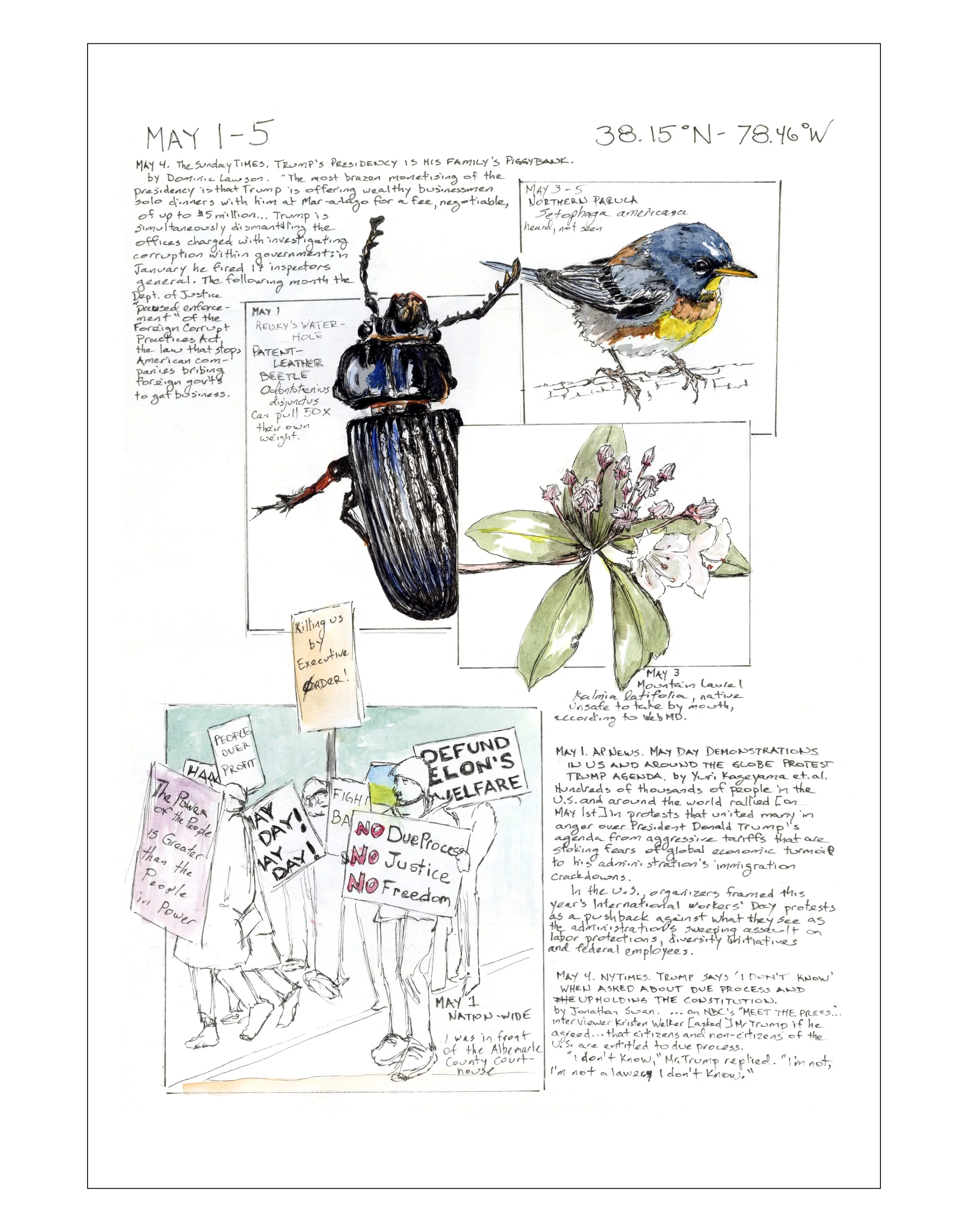 Bearing Witness, Vol 1: May 1-5, 2025