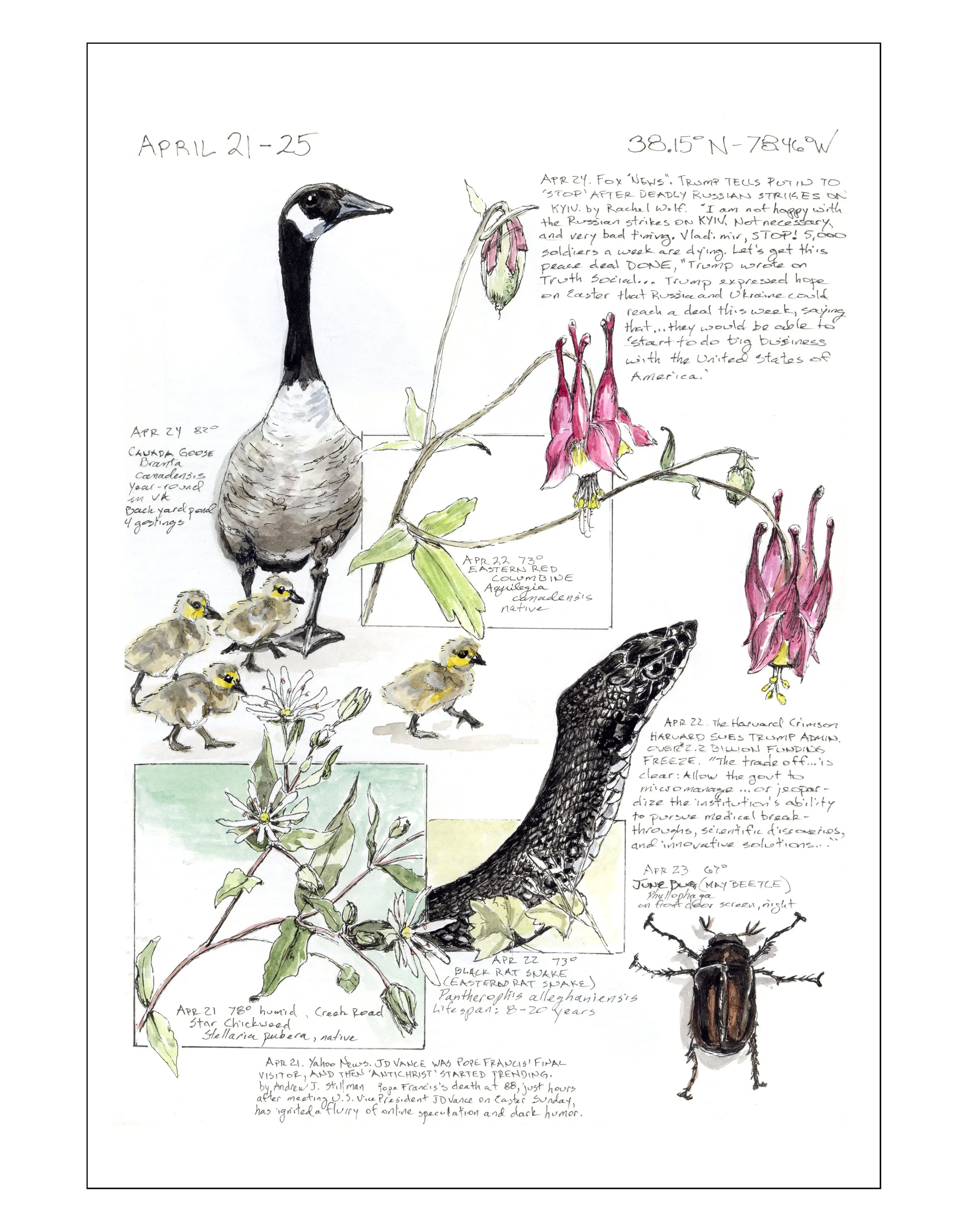 Bearing Witness, Vol 1: April 21-25, 2025