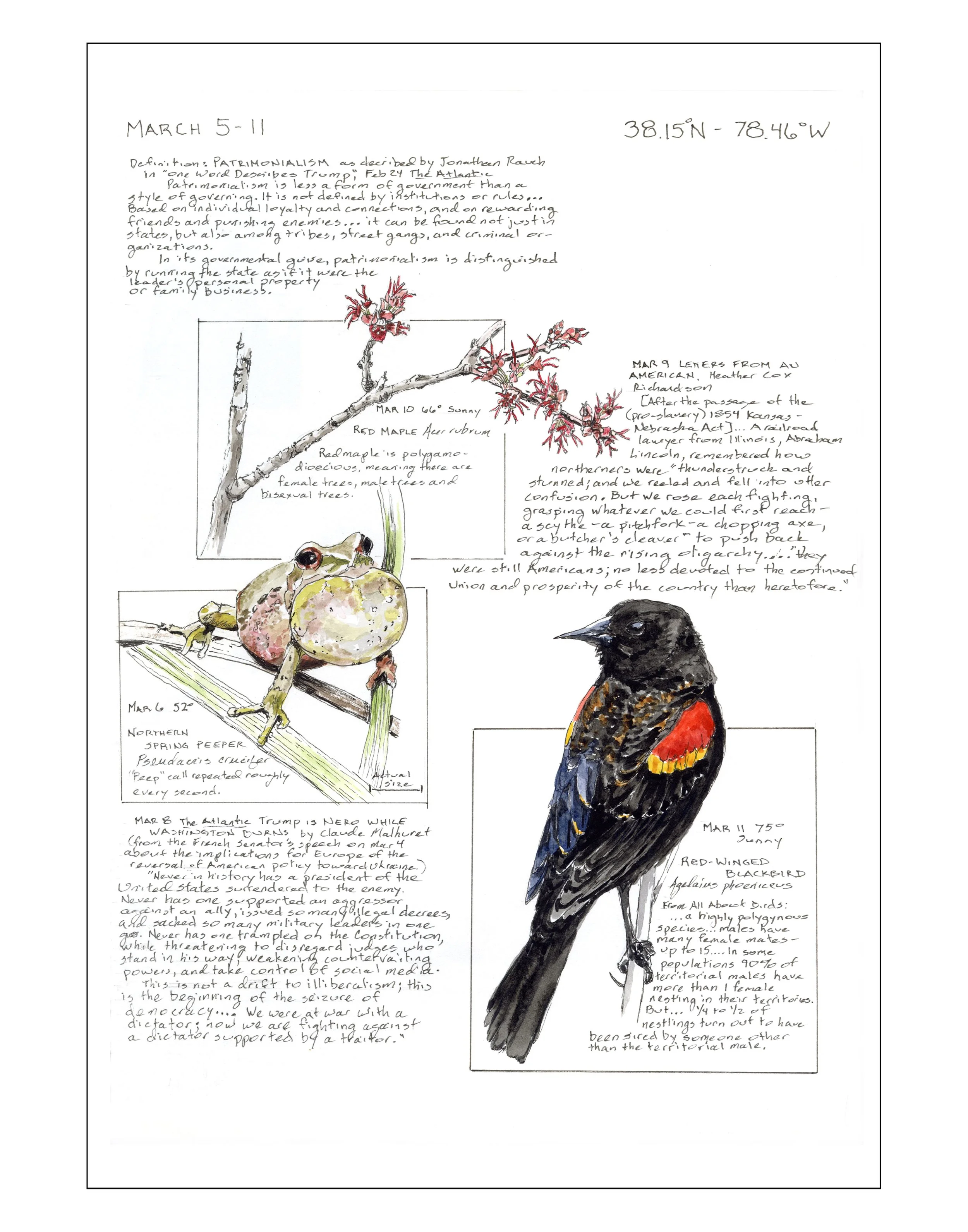 Bearing Witness, Vol 1: March 5-11 2025