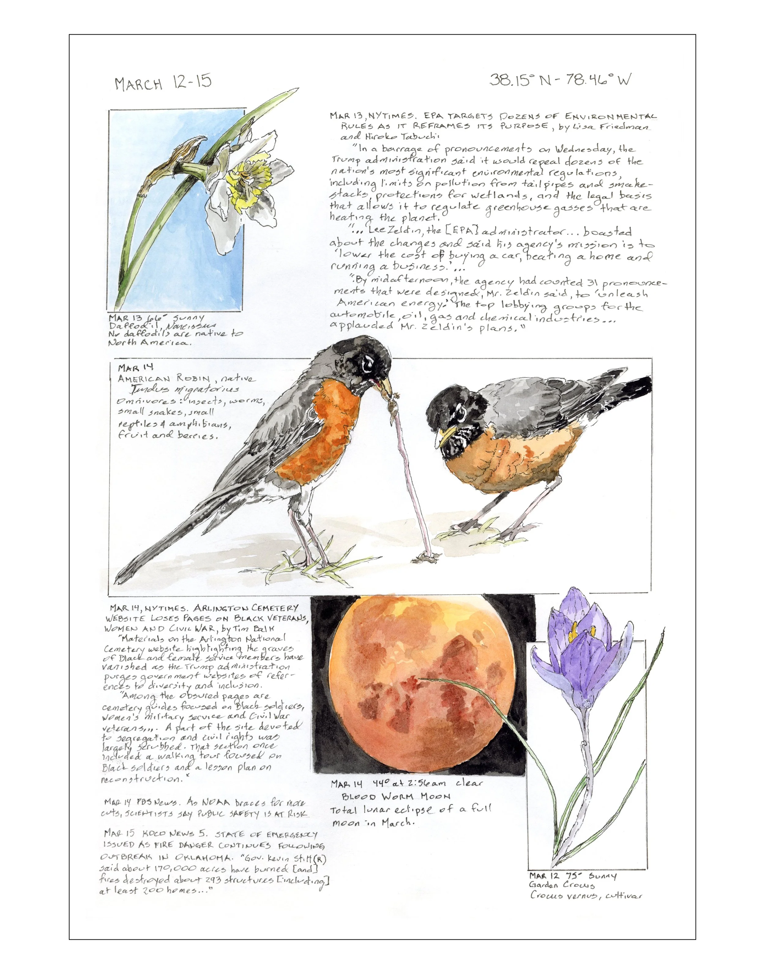 Bearing Witness, Vol 1: March 12-15, 2025