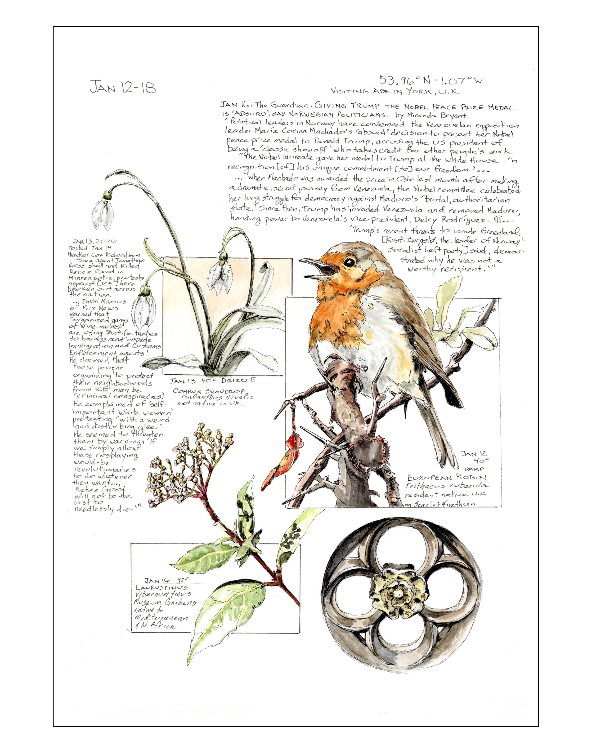 Bearing Witness, Vol 1:  January 12-18, 2026 (York, UK)