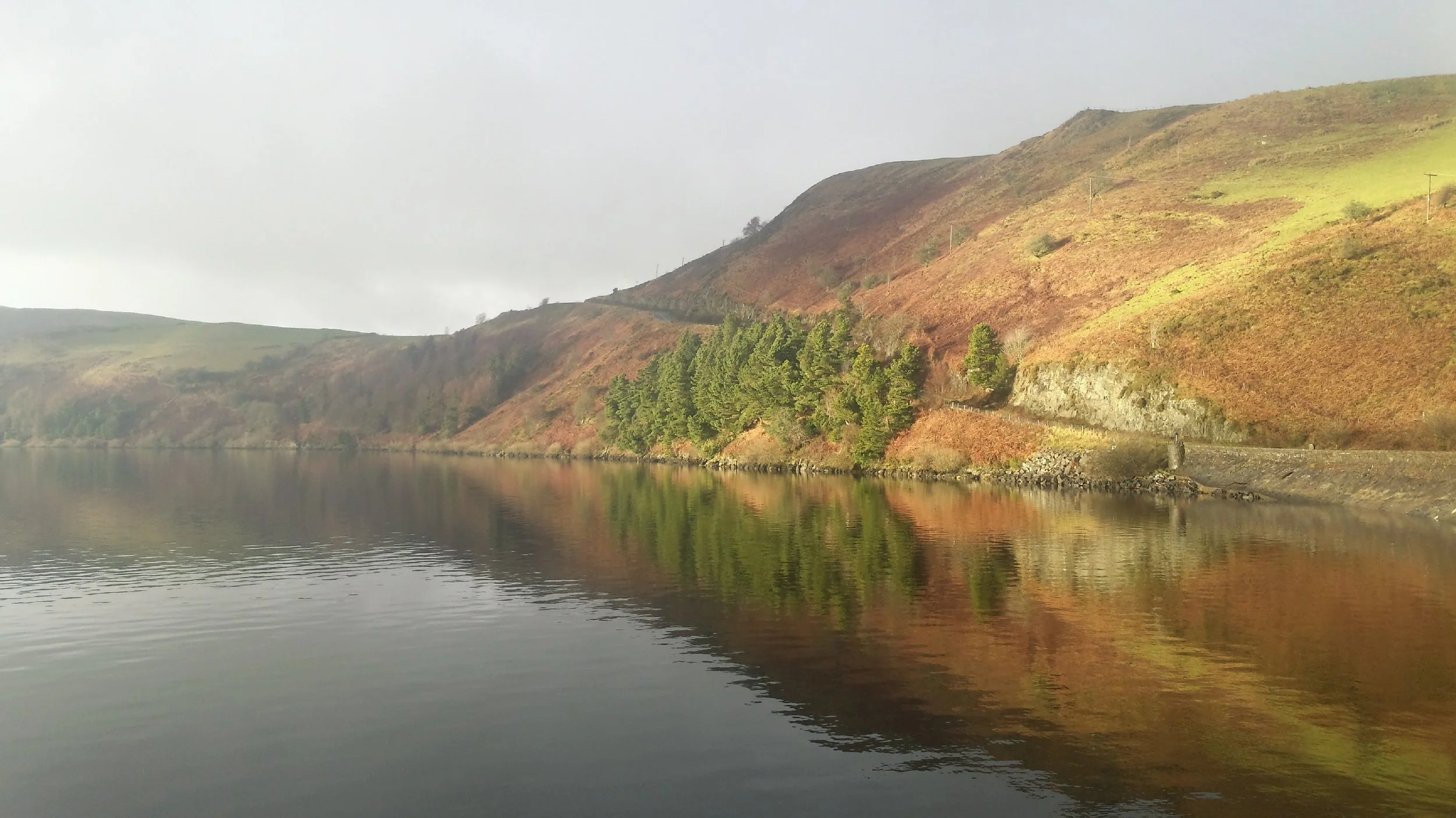 Lake Clywedog near Llanidloes, Mid Wales
