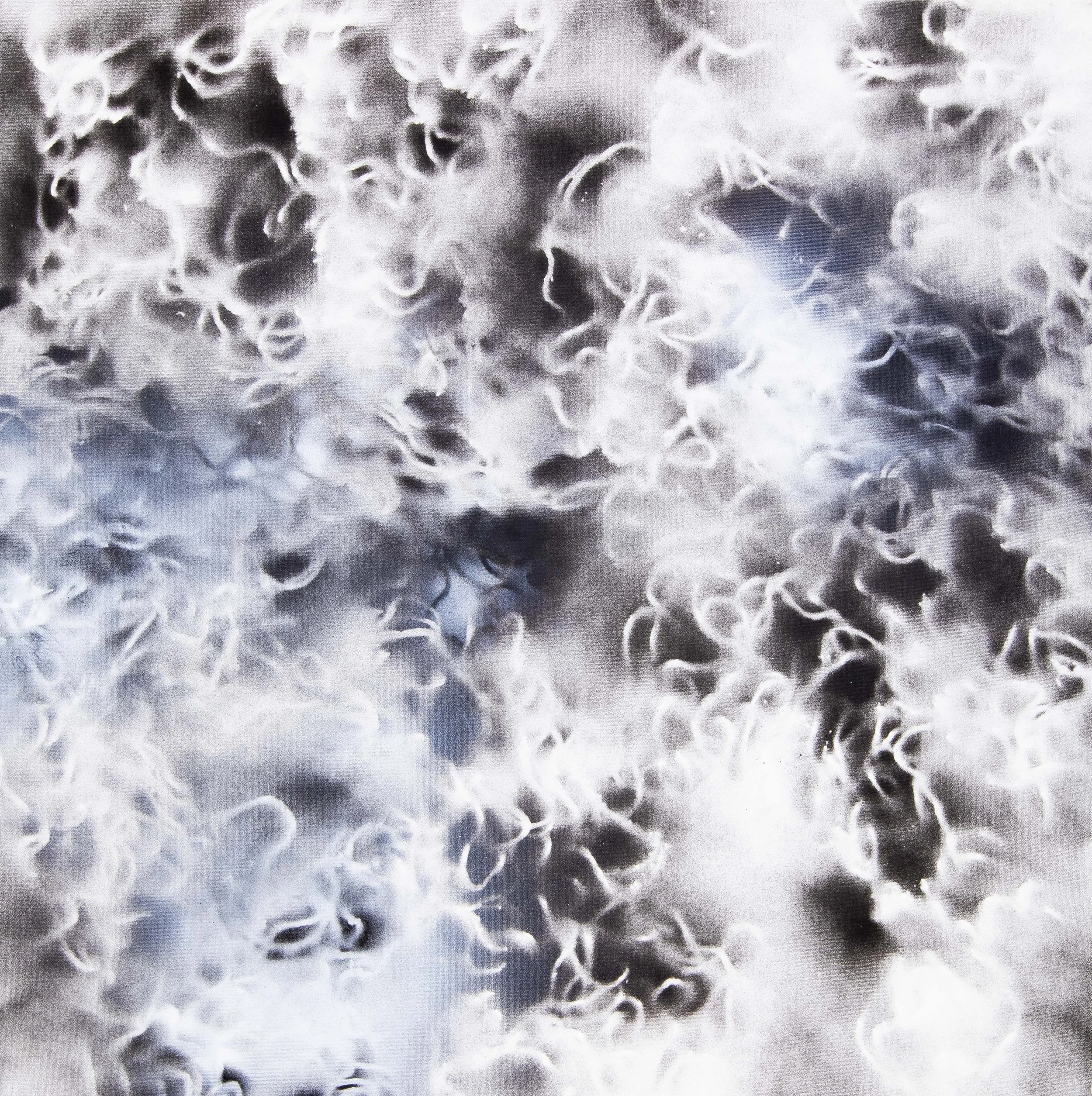 "KRYLON" - White Canvas Series 2019