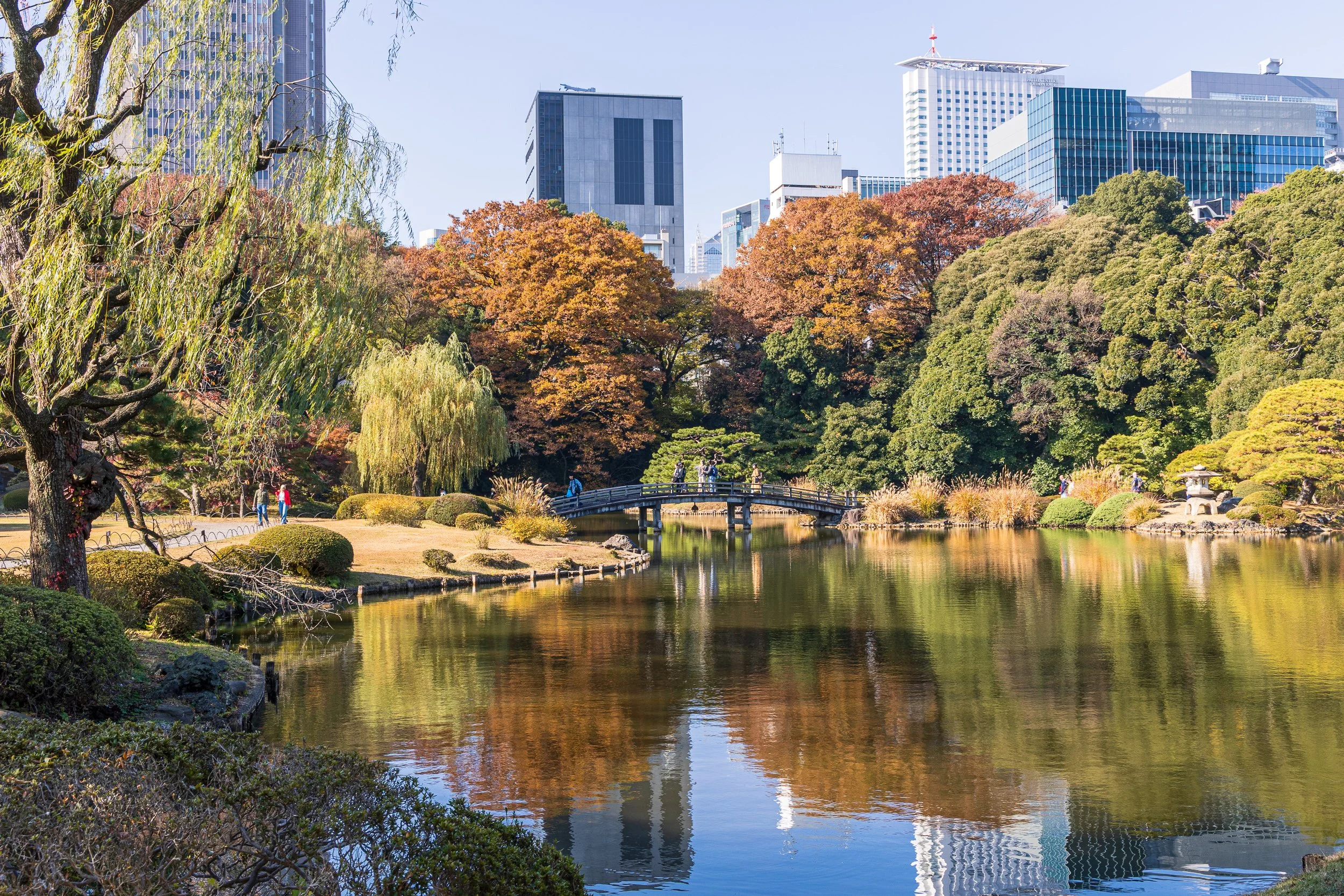 F19A2321_shinjuku-gyoen-national-garden.jpg