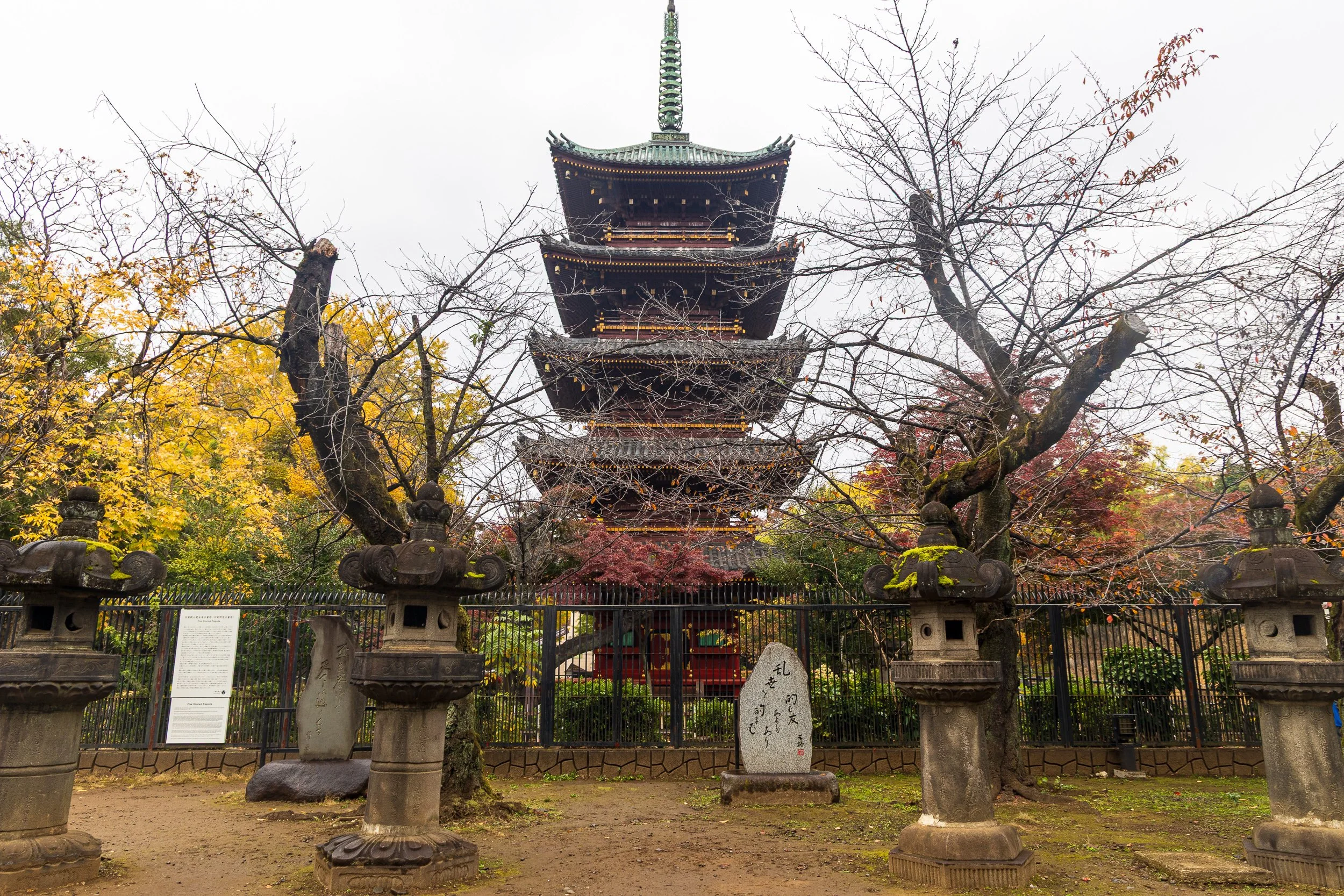 F19A1221_ueno-park.jpg
