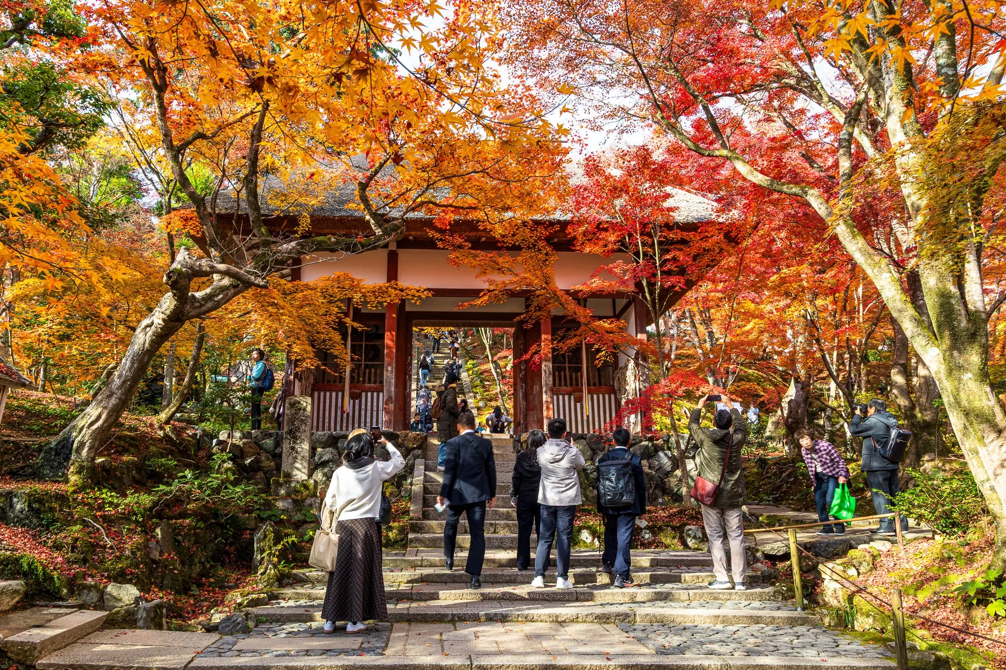F19A3927_jojakko-ji.jpg