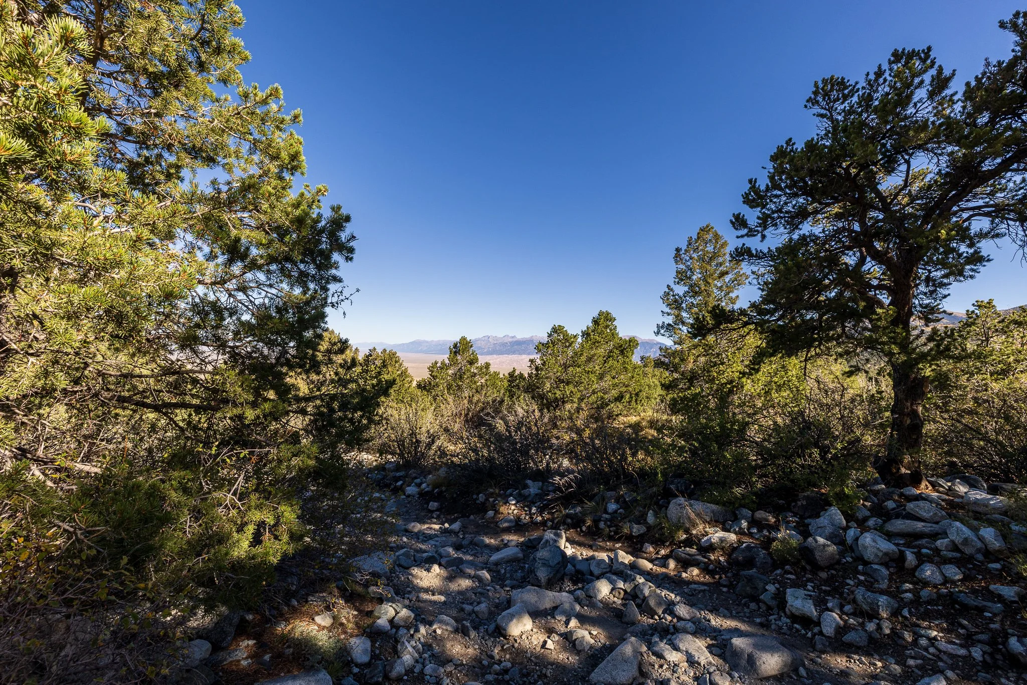 F19A0191_zapata-falls.jpg