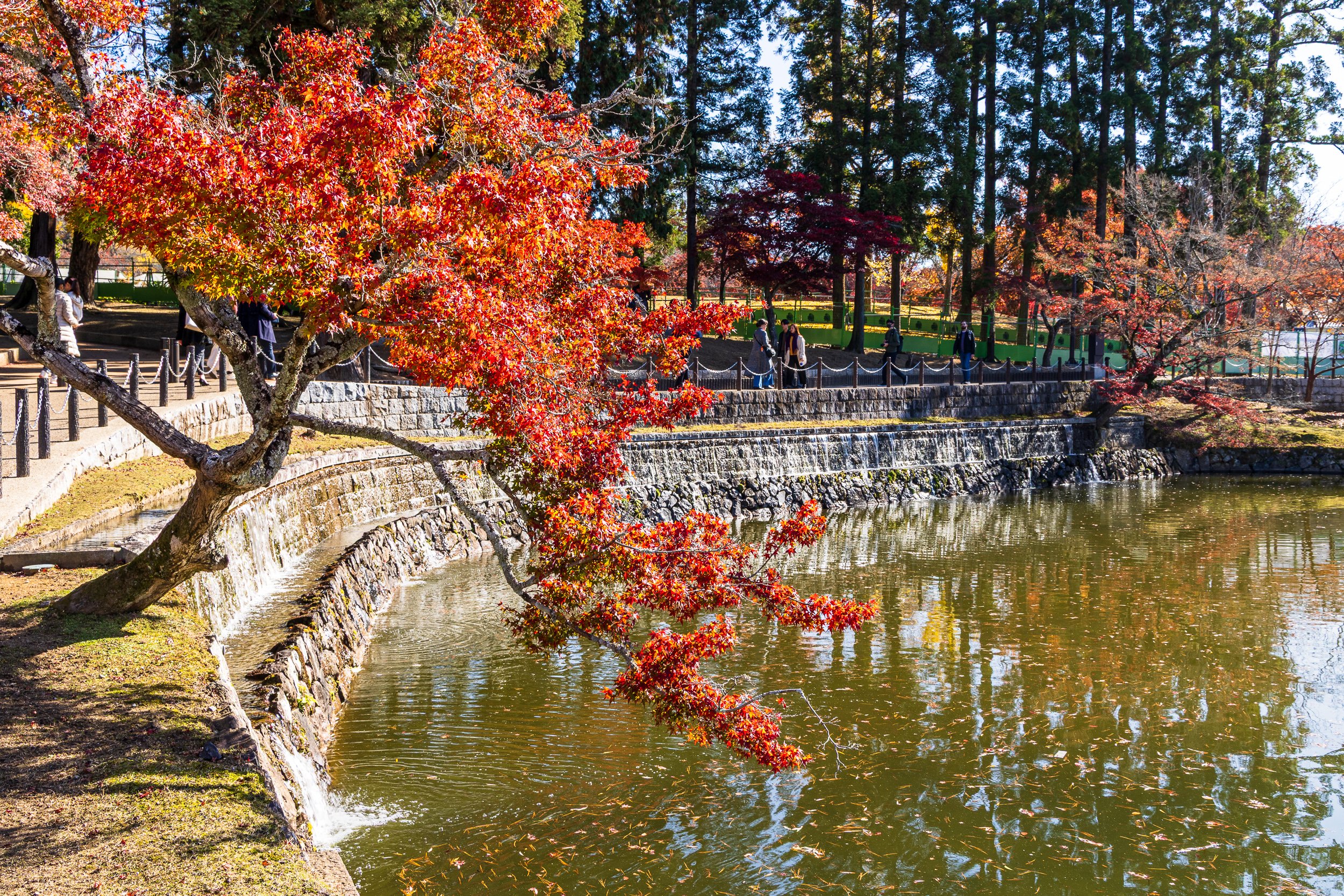 Kagami-ike Pond (Mirror Pond)