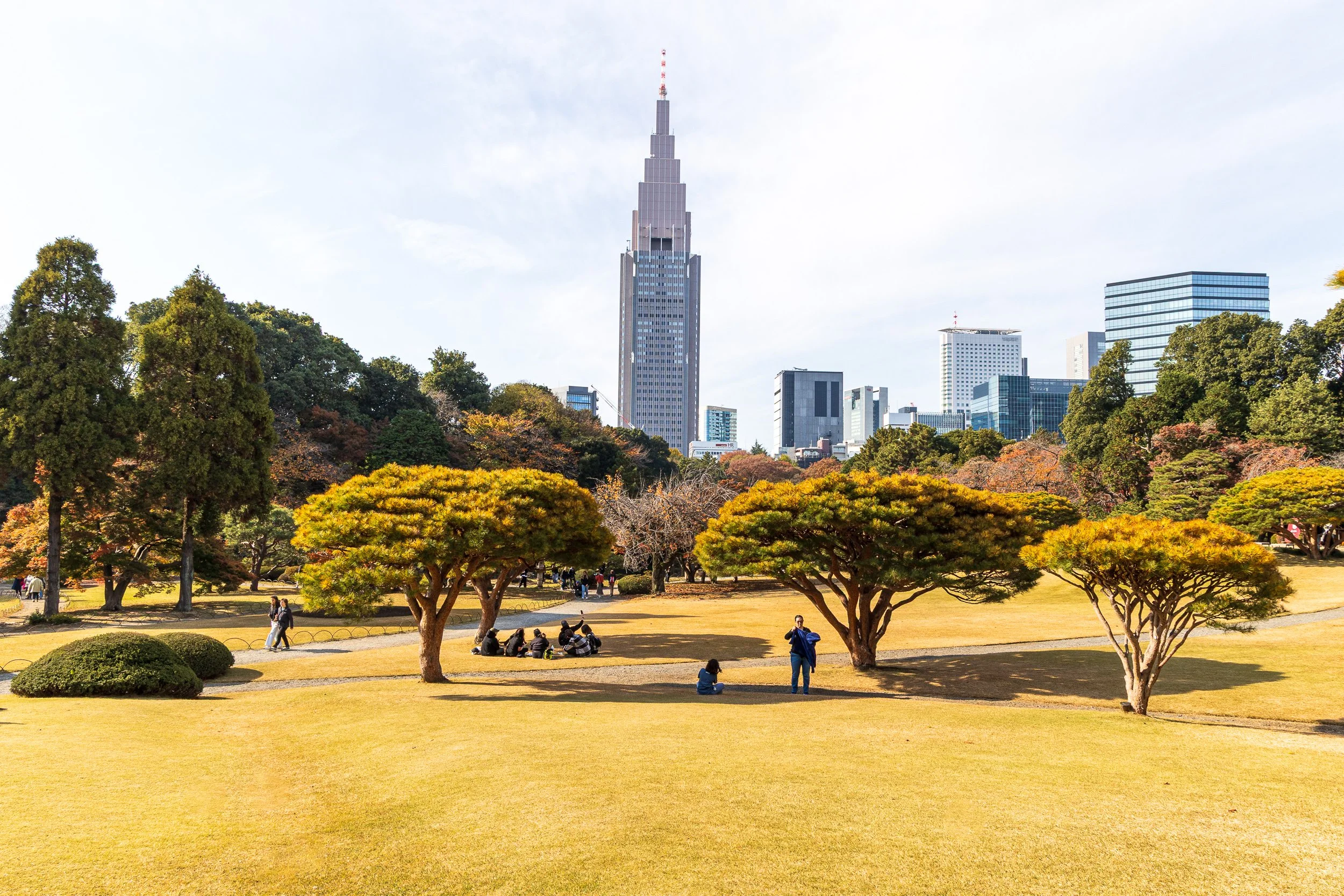 F19A2369_shinjuku-gyoen-national-garden.jpg