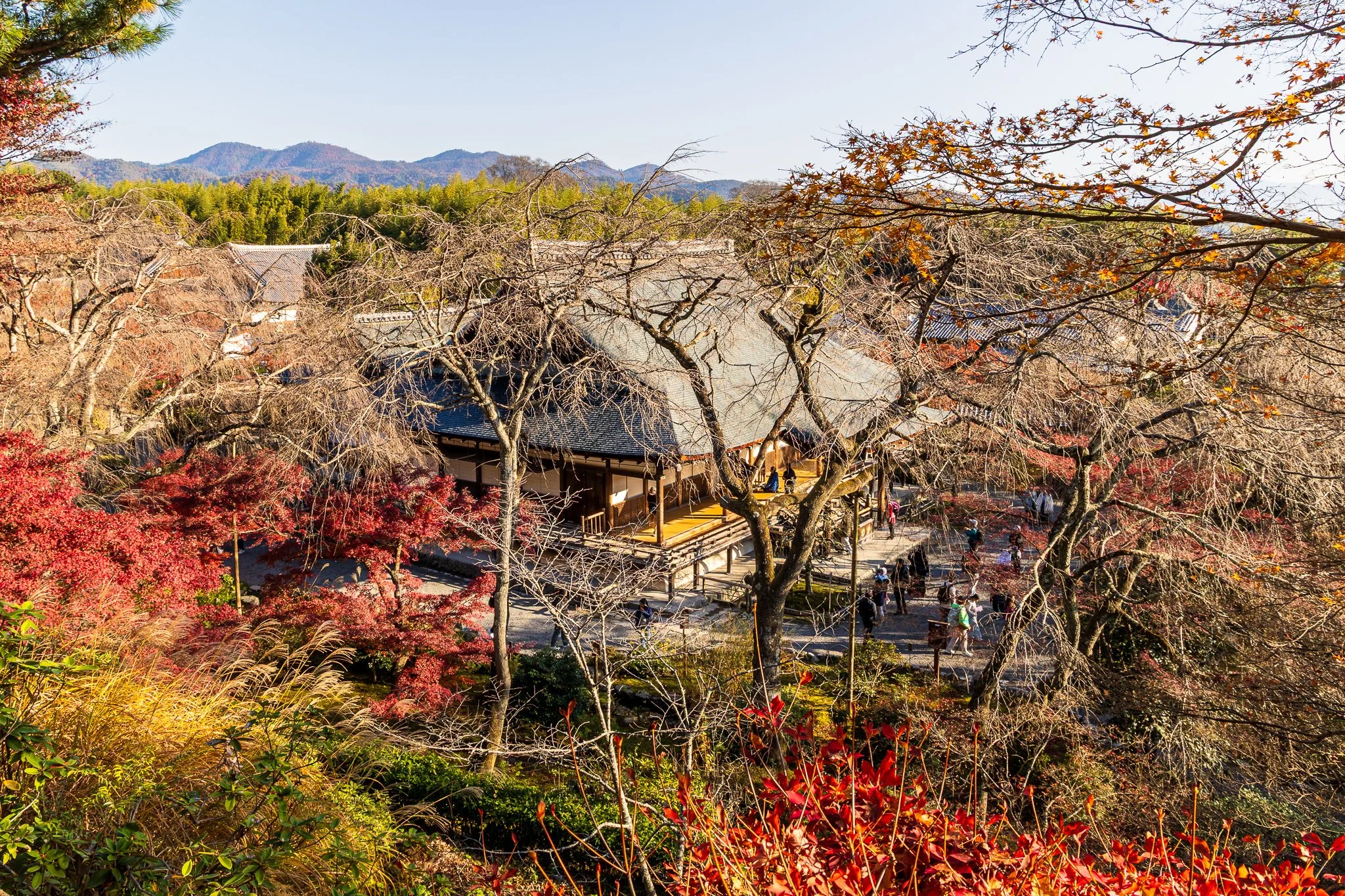 F19A3881_tenryu-ji.jpg