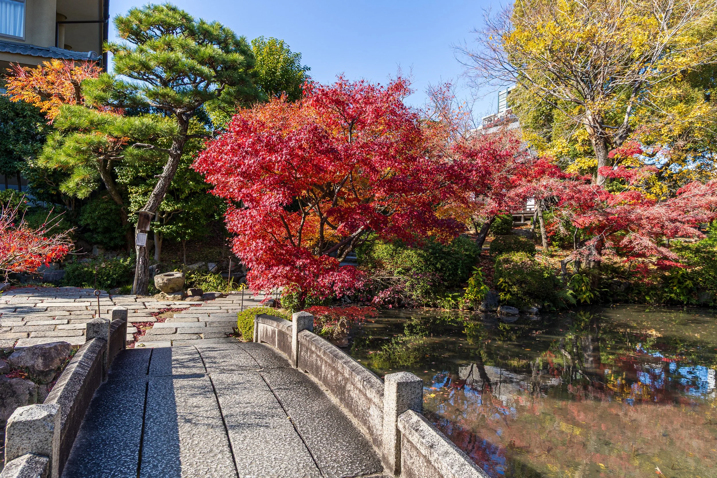 F19A5524_shitenno-ji.jpg