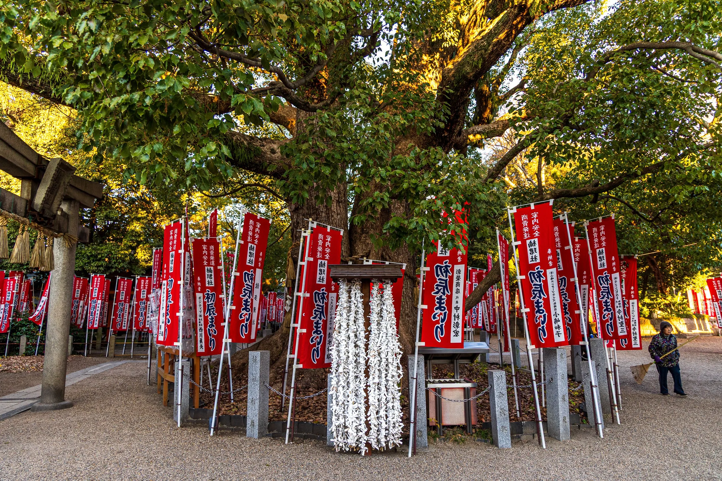 F19A5598_sumiyoshi-taisha.jpg