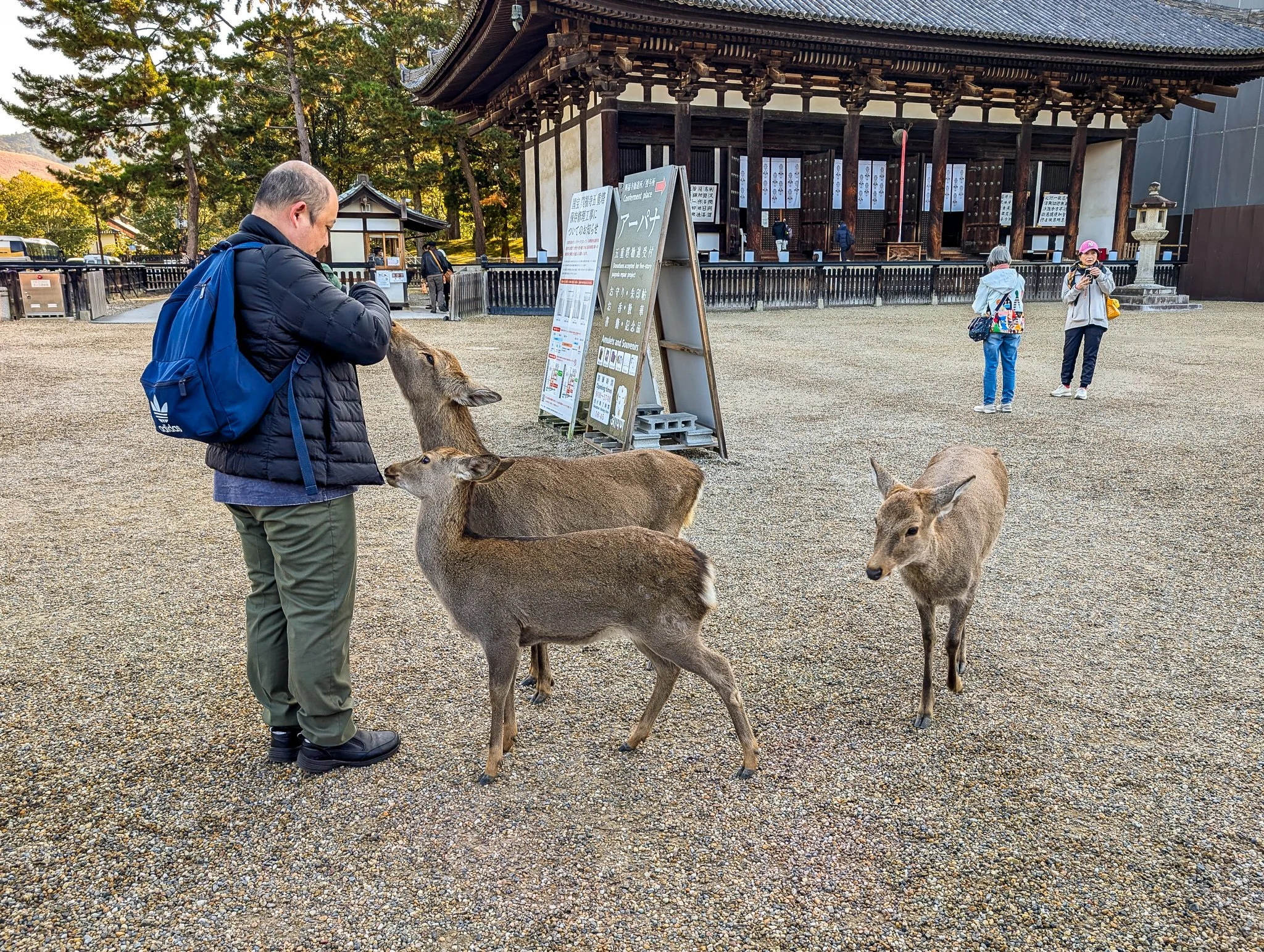 PXL_20251130_004336656_kofuku-ji.jpg