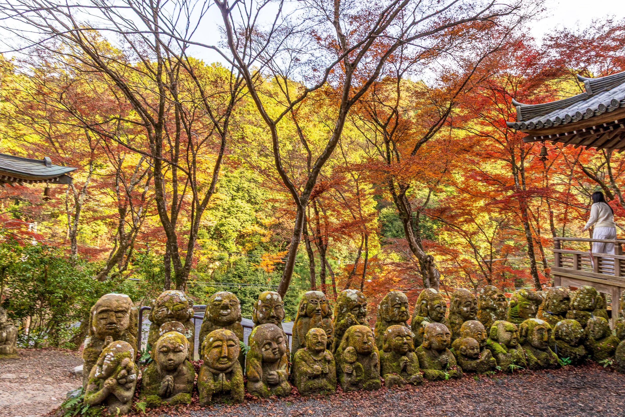 F19A4125_otagi-nenbutsu-ji.jpg