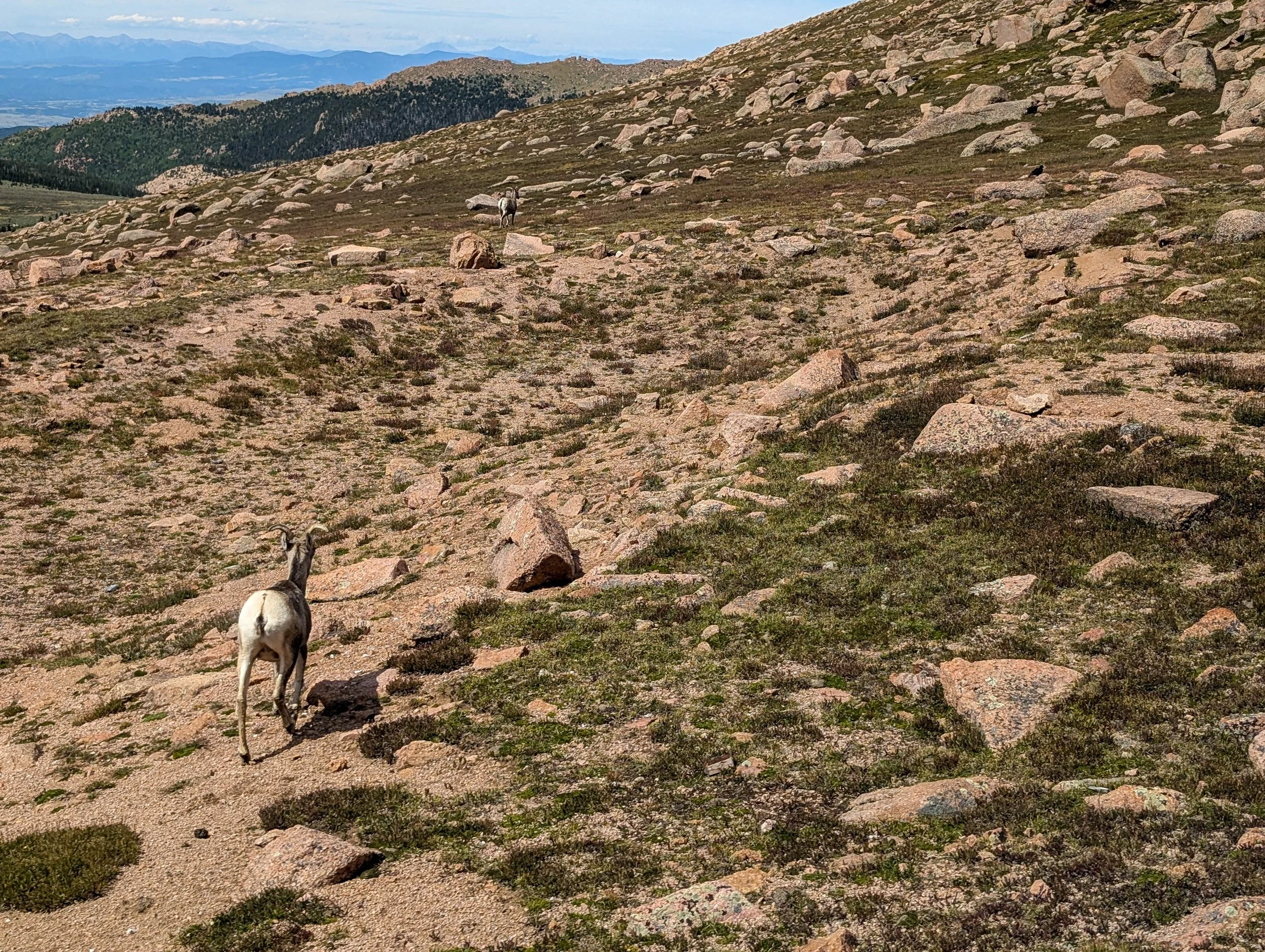 PXL_20240817_165101910_the-broadmoor-manitou-and-pikes-peak-cog-railway.jpg