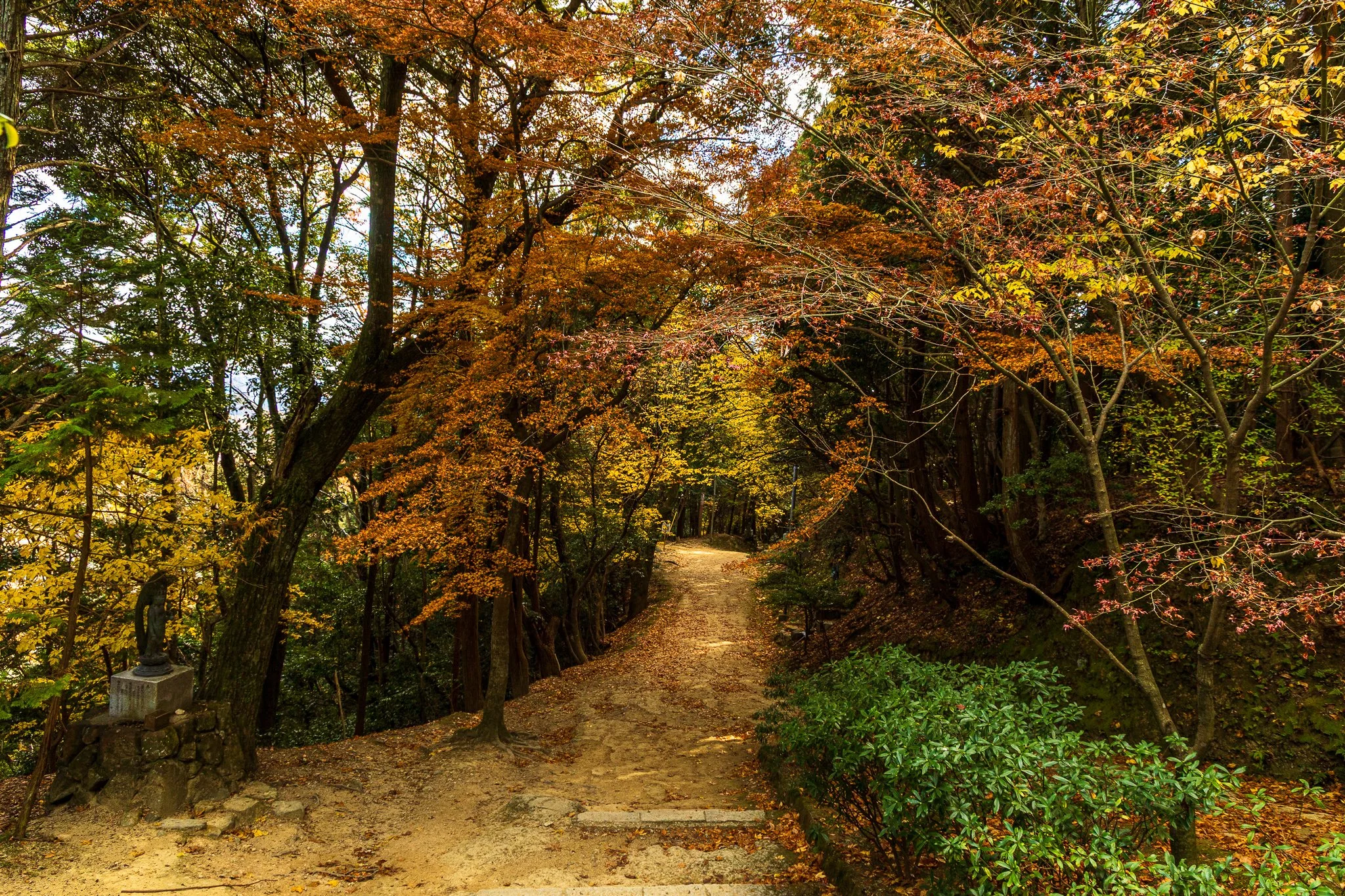F19A5145_mount-shosha.jpg