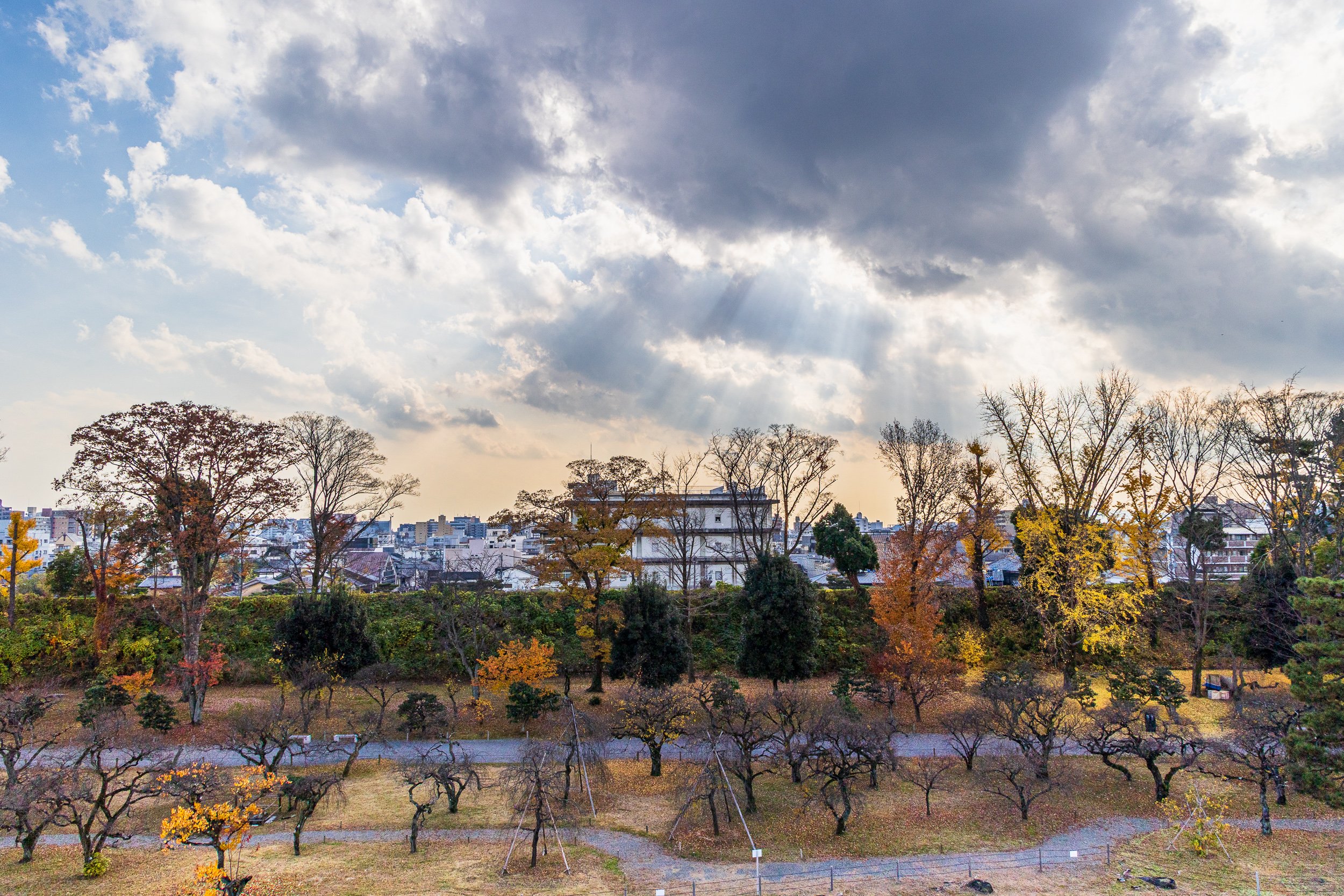 F19A4502_nijo-castle.jpg