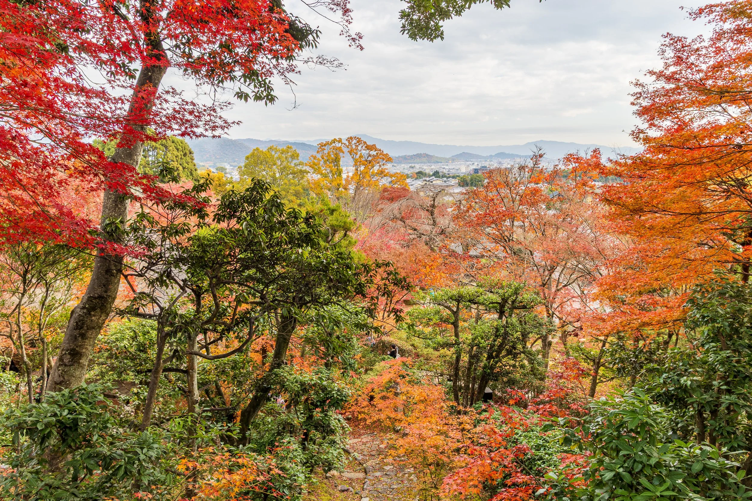 F19A3970_jojakko-ji.jpg