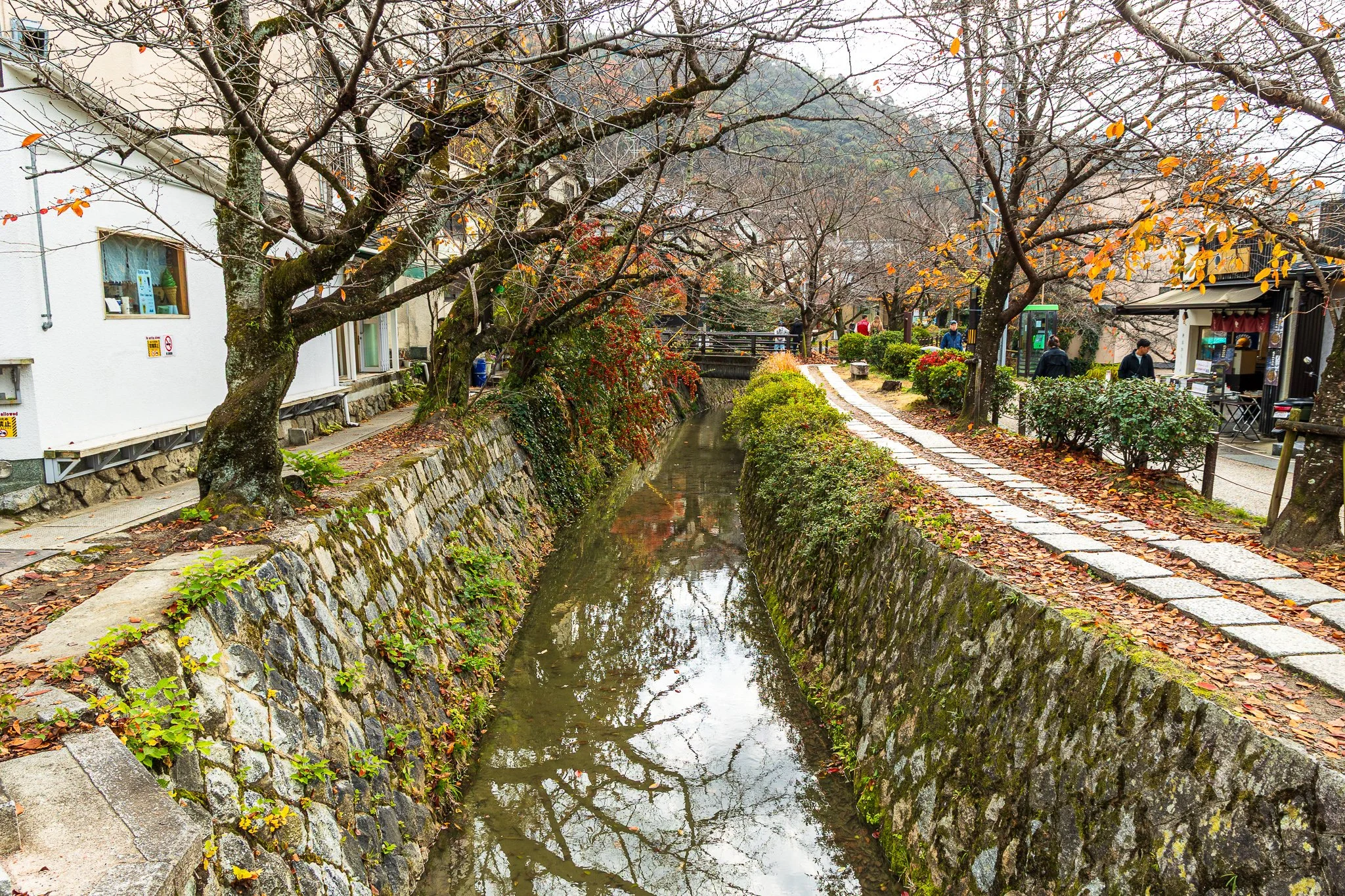 F19A4778_philosophers-path.jpg